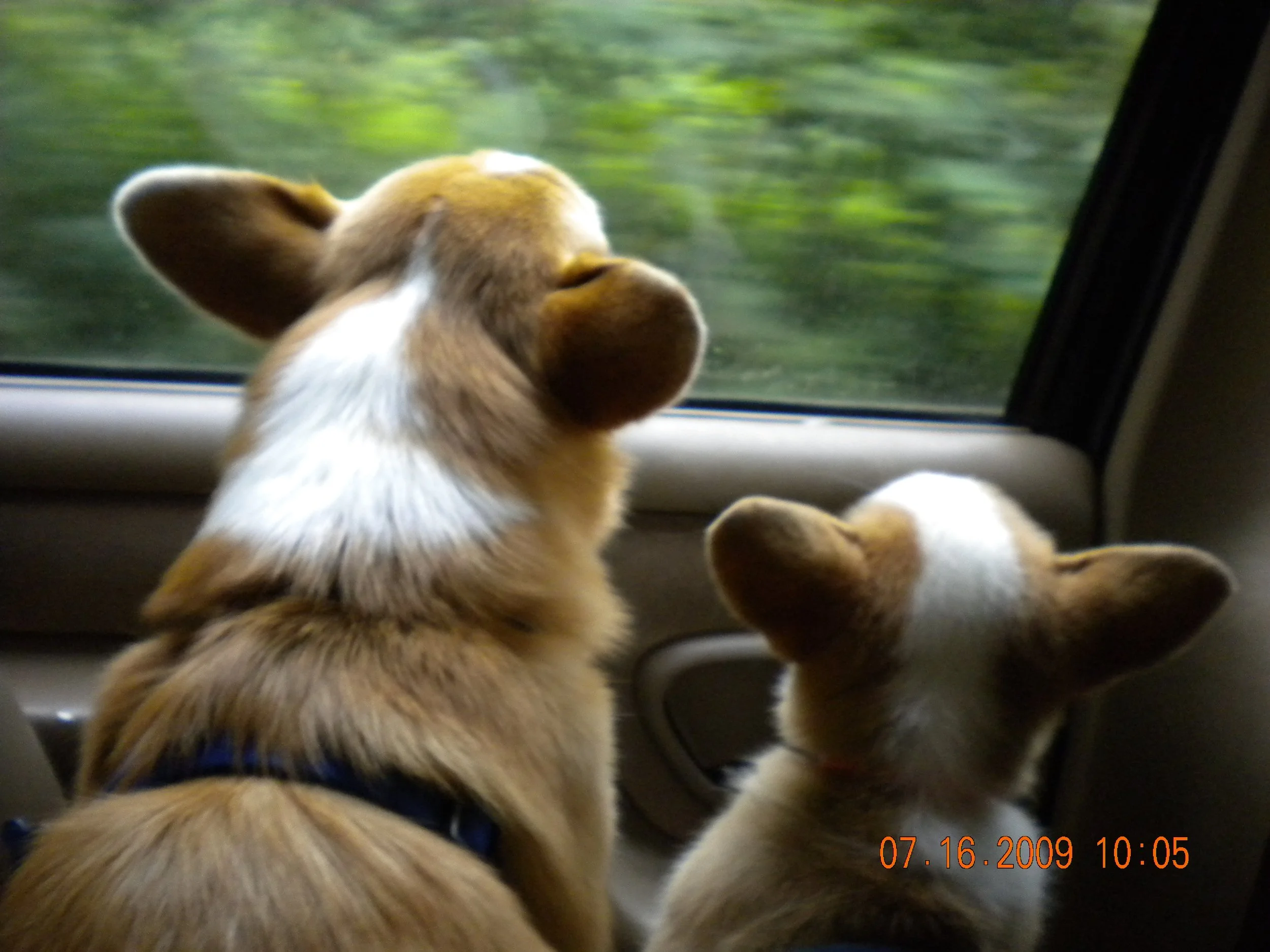 0809 Lizzie Reggie.jpg