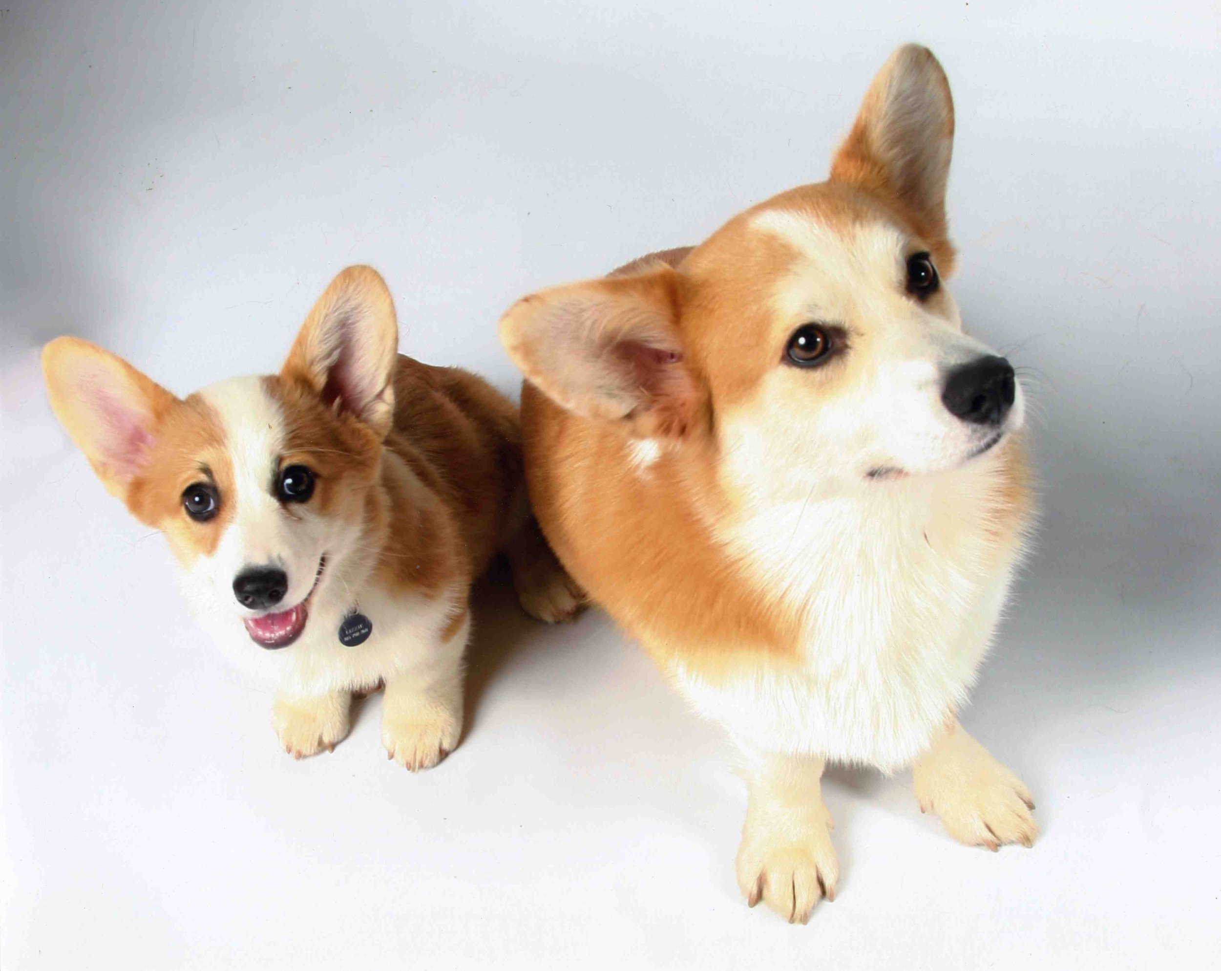 0809 Reggie Lizzie Photographer.jpg