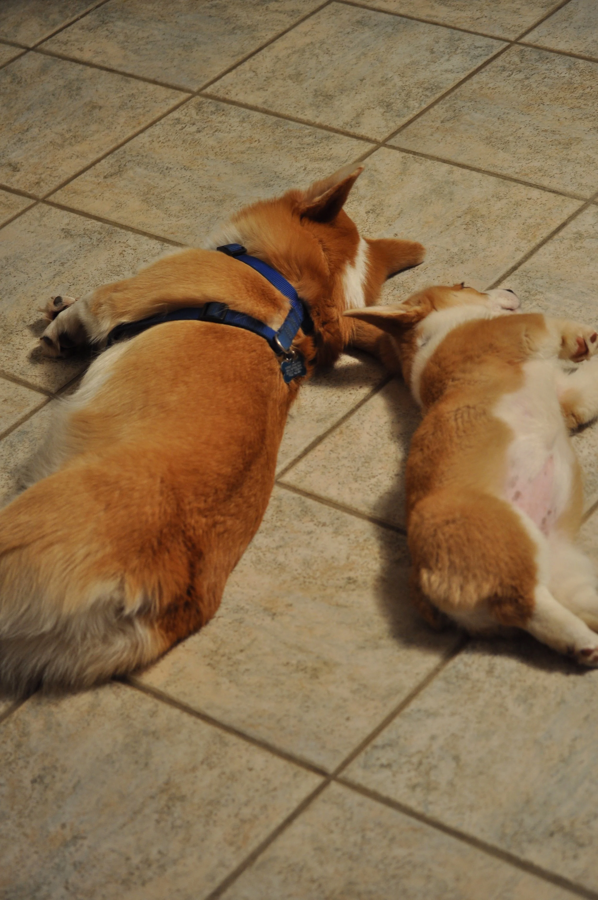 0809 Reggie Lizzie 10.jpg