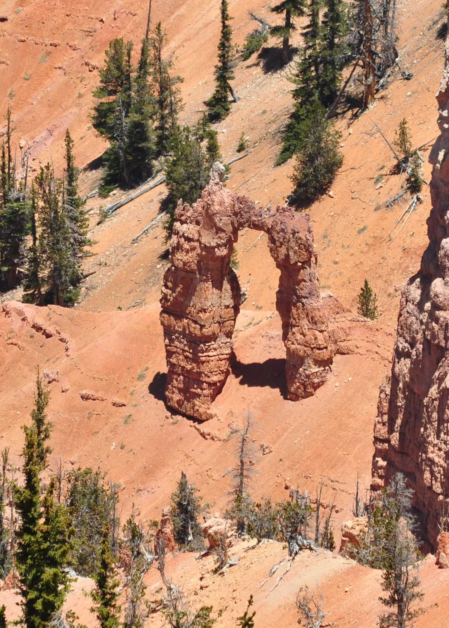 0609 21 Cedar Breaks 3.jpg