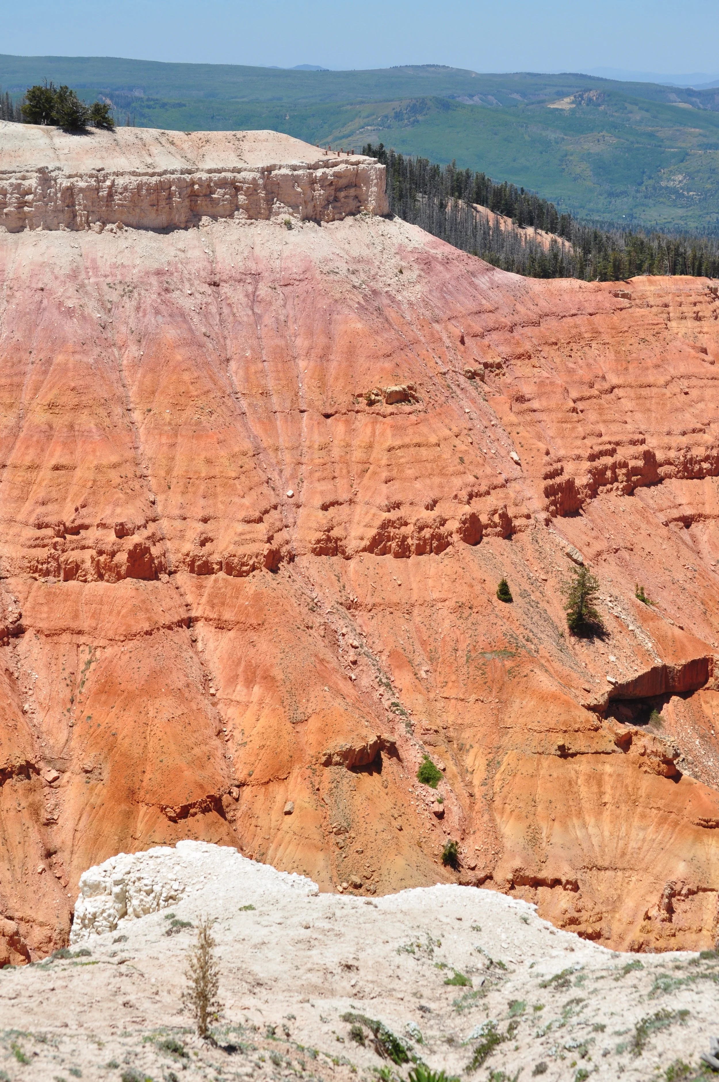 0609 21 Cedar Breaks Trail.jpg