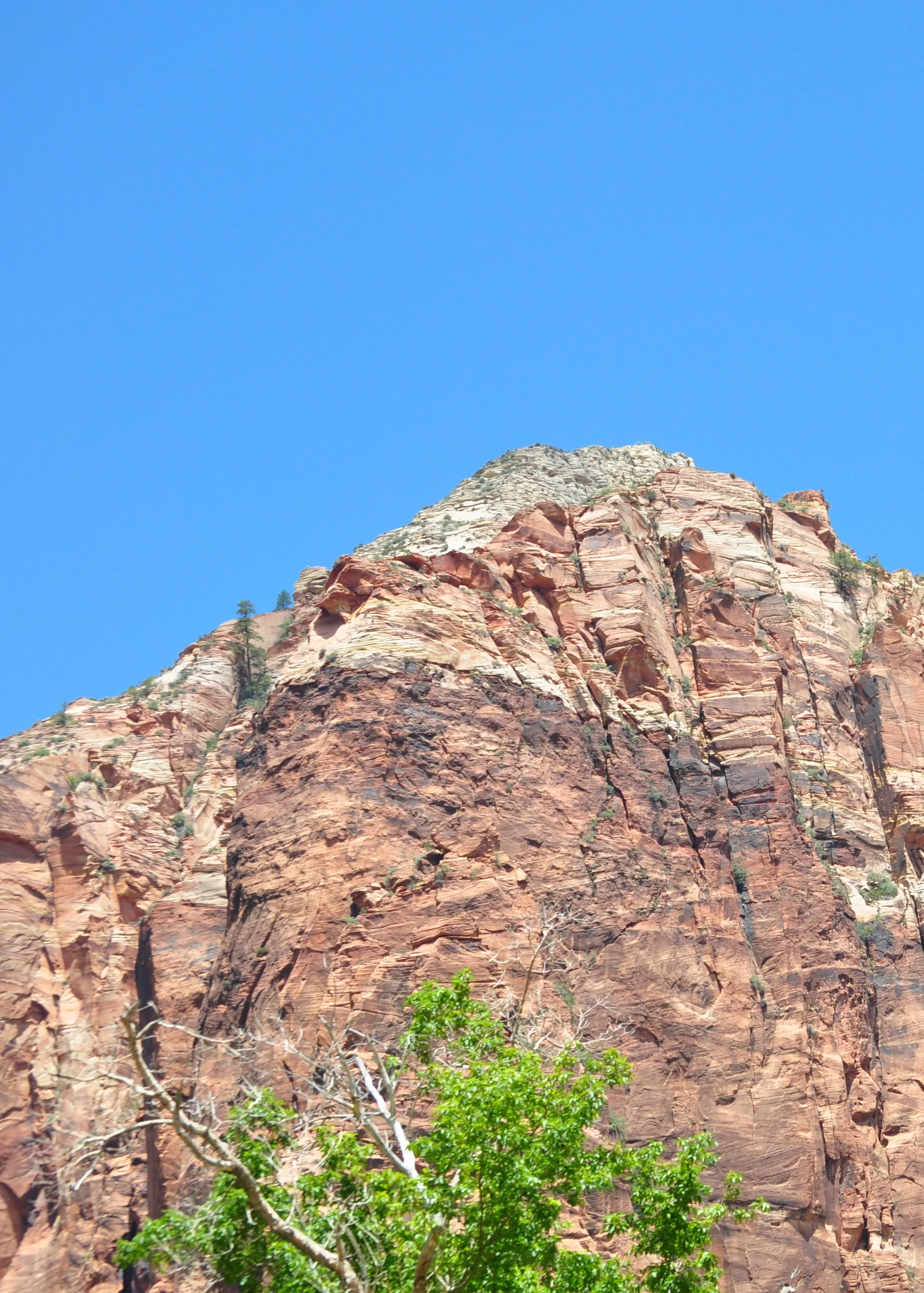 0609 24 Zion 3.jpg