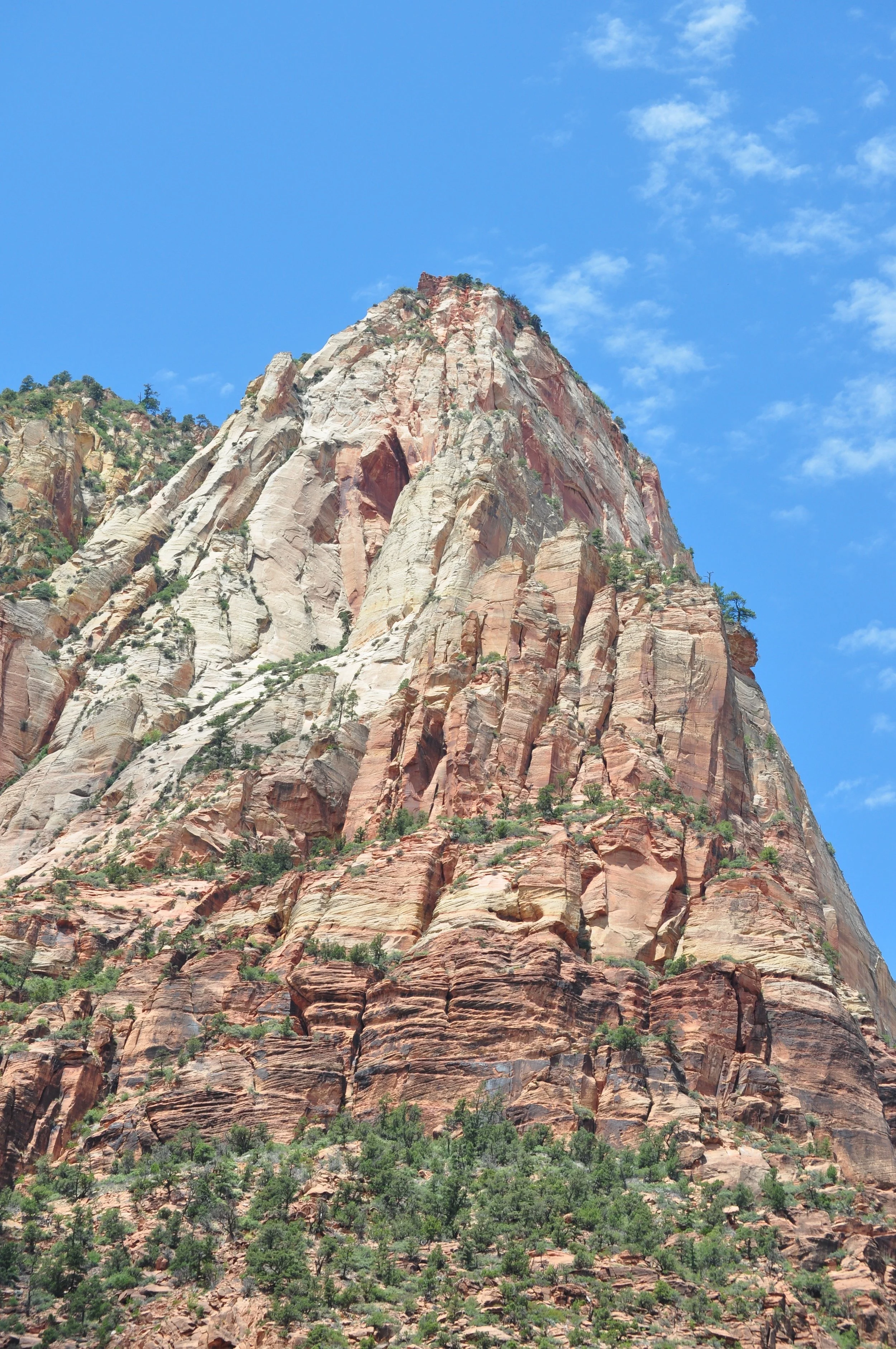 0609 24 Zion 4.jpg