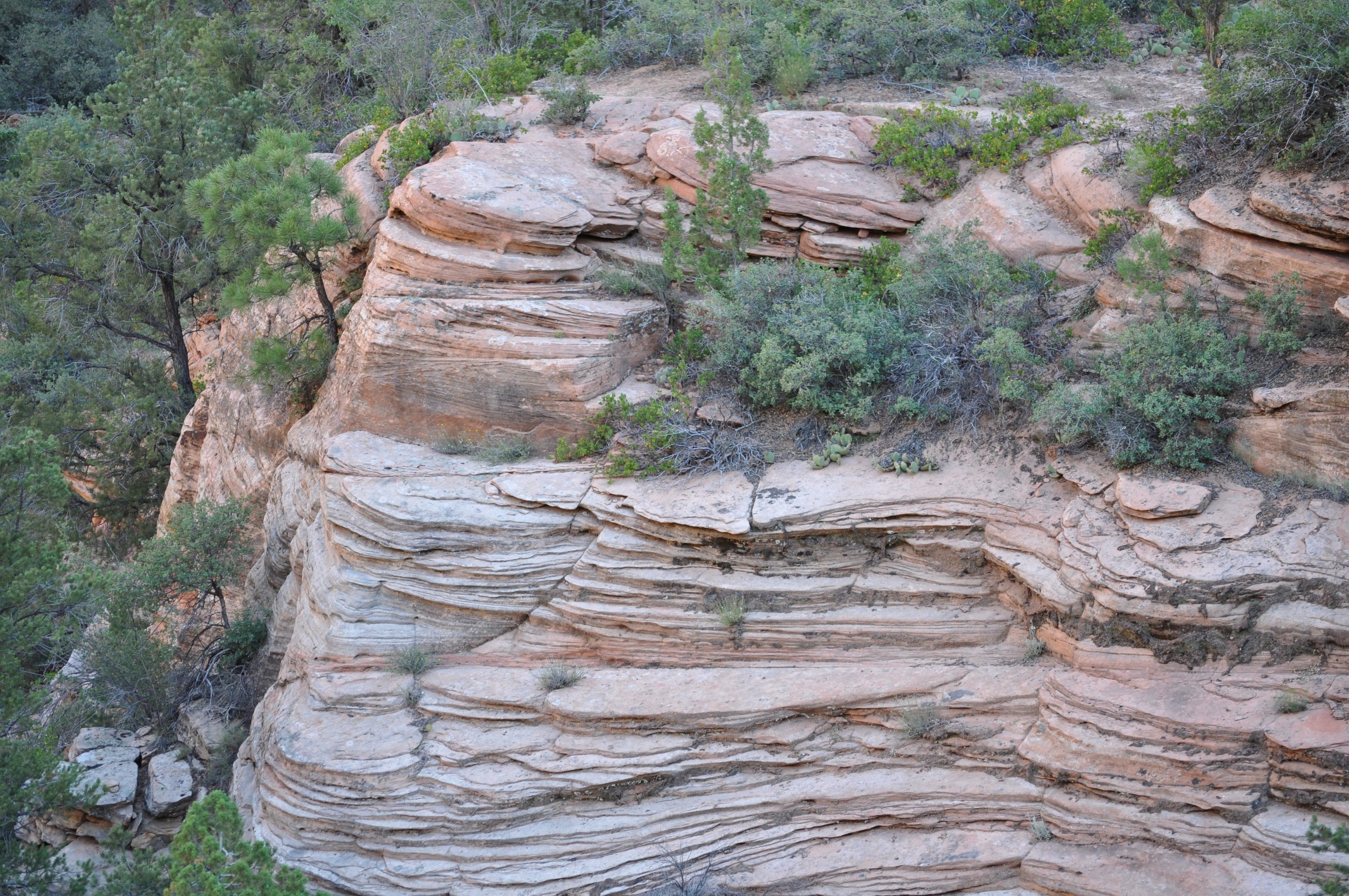 0609 24 Zion Road 2.jpg