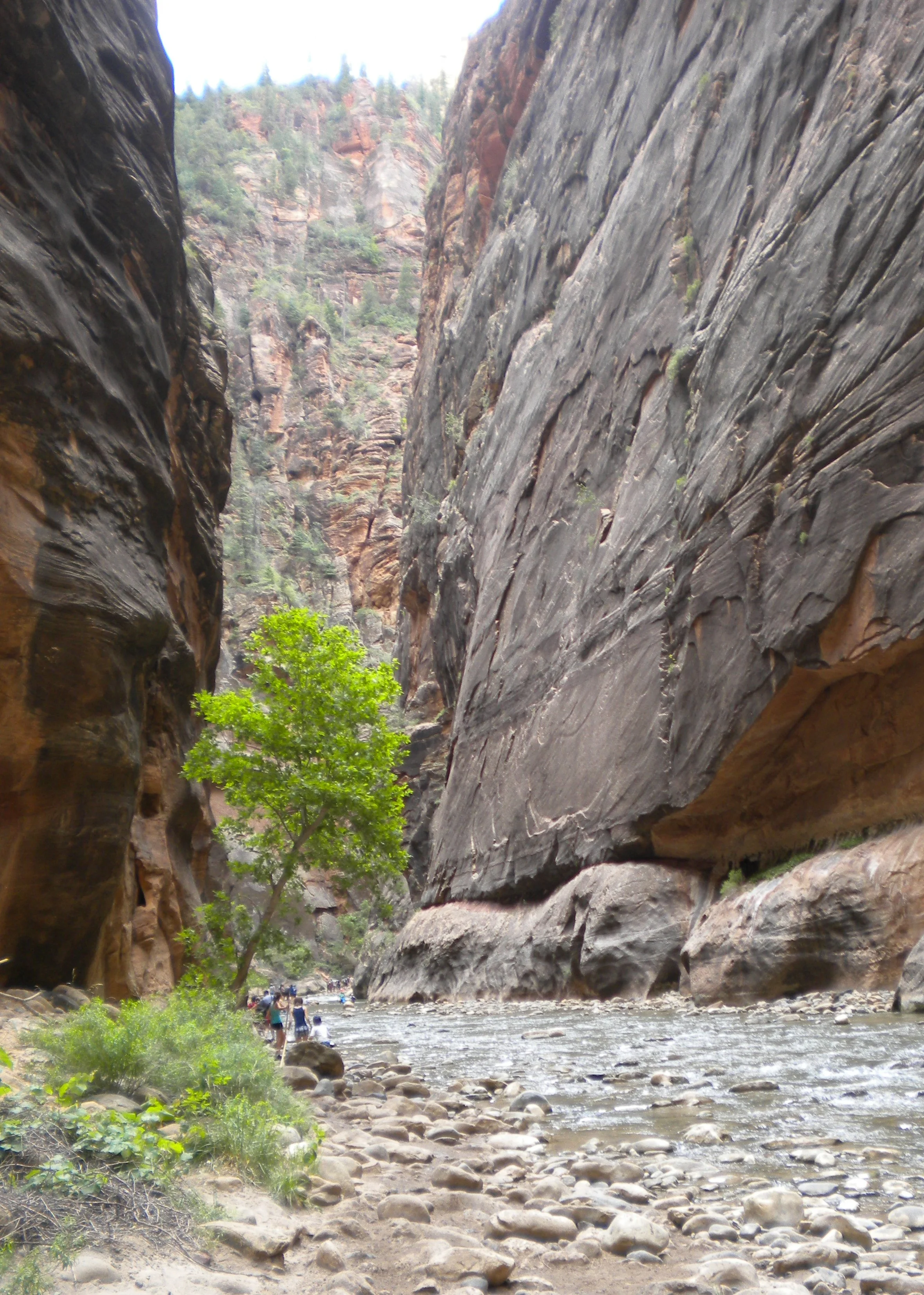 0609 25 Narrows 1.jpg