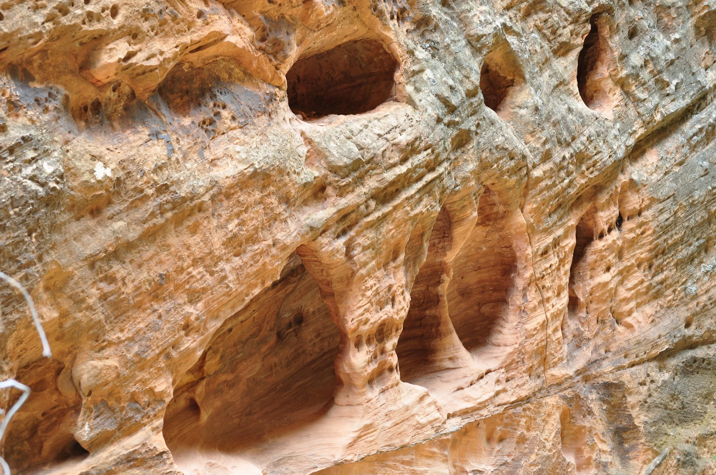 0609 26 Angels Landing 1.jpg