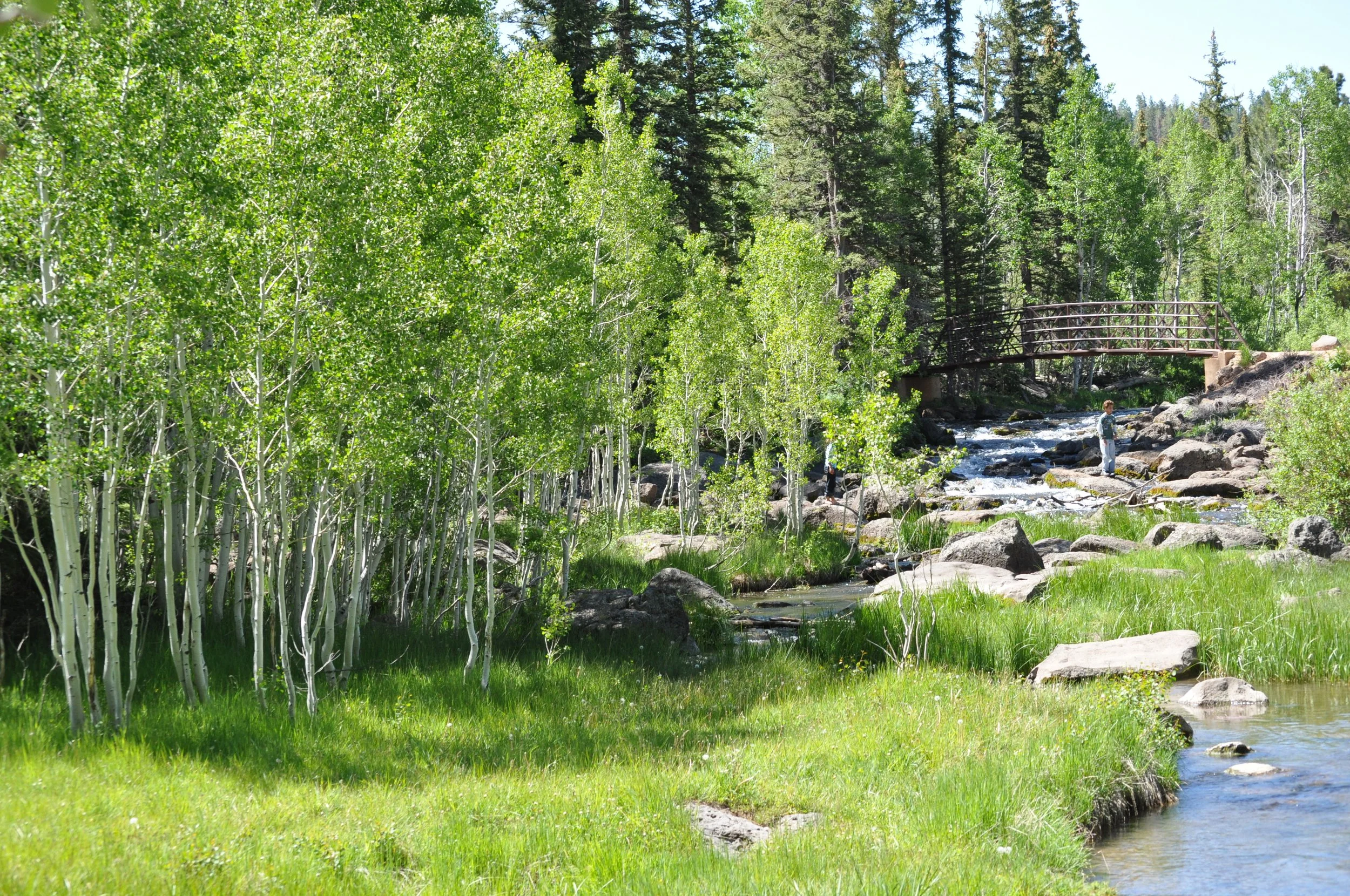 0609 27 Aspen Mirror Creek.jpg