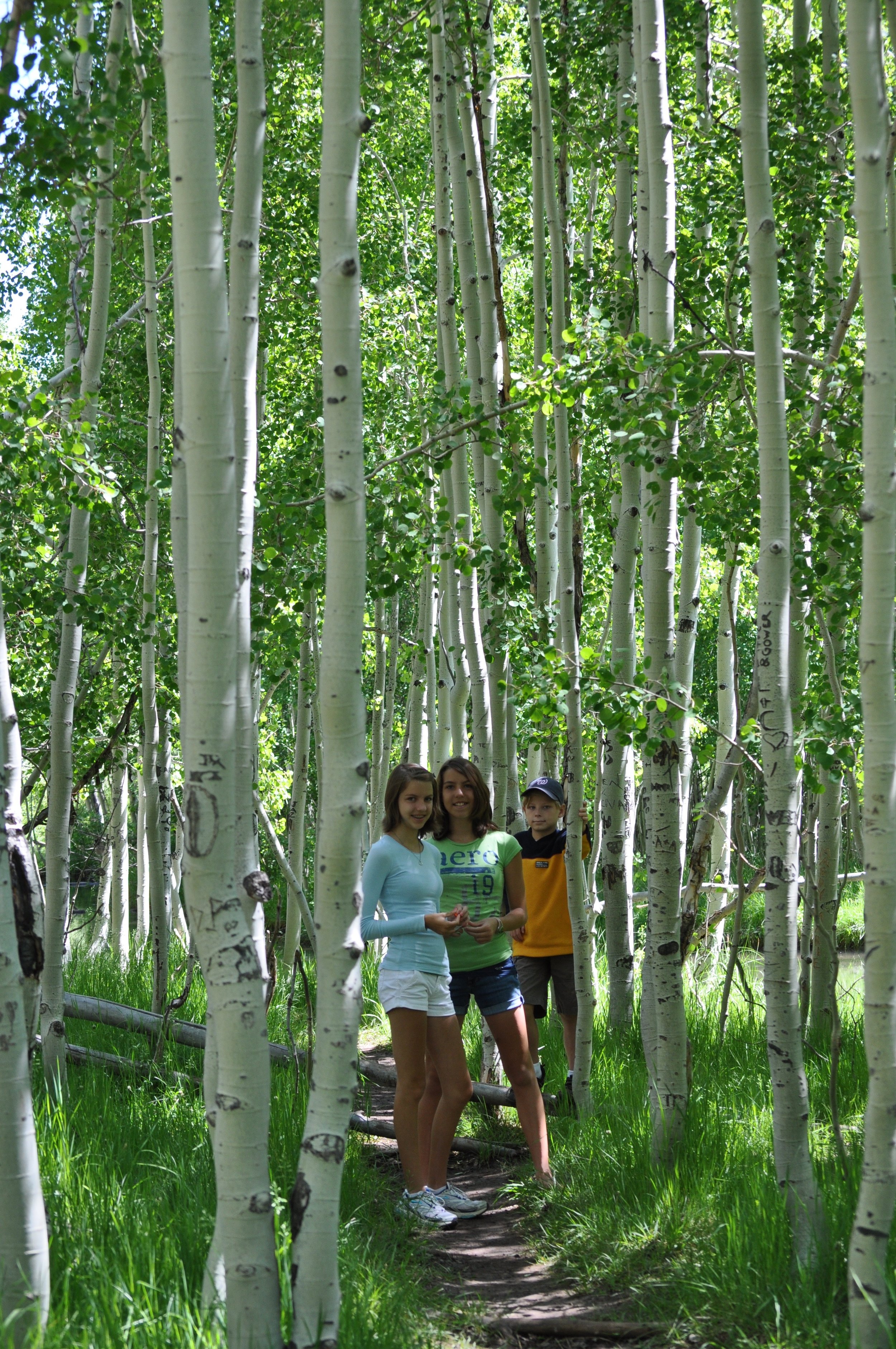 0609 27 Kids Aspen Mirror Grove.jpg