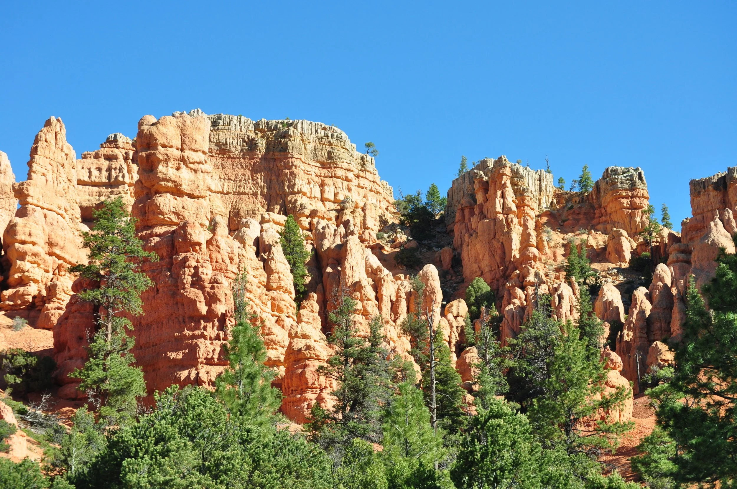 0609 28 Red Canyon 1.jpg