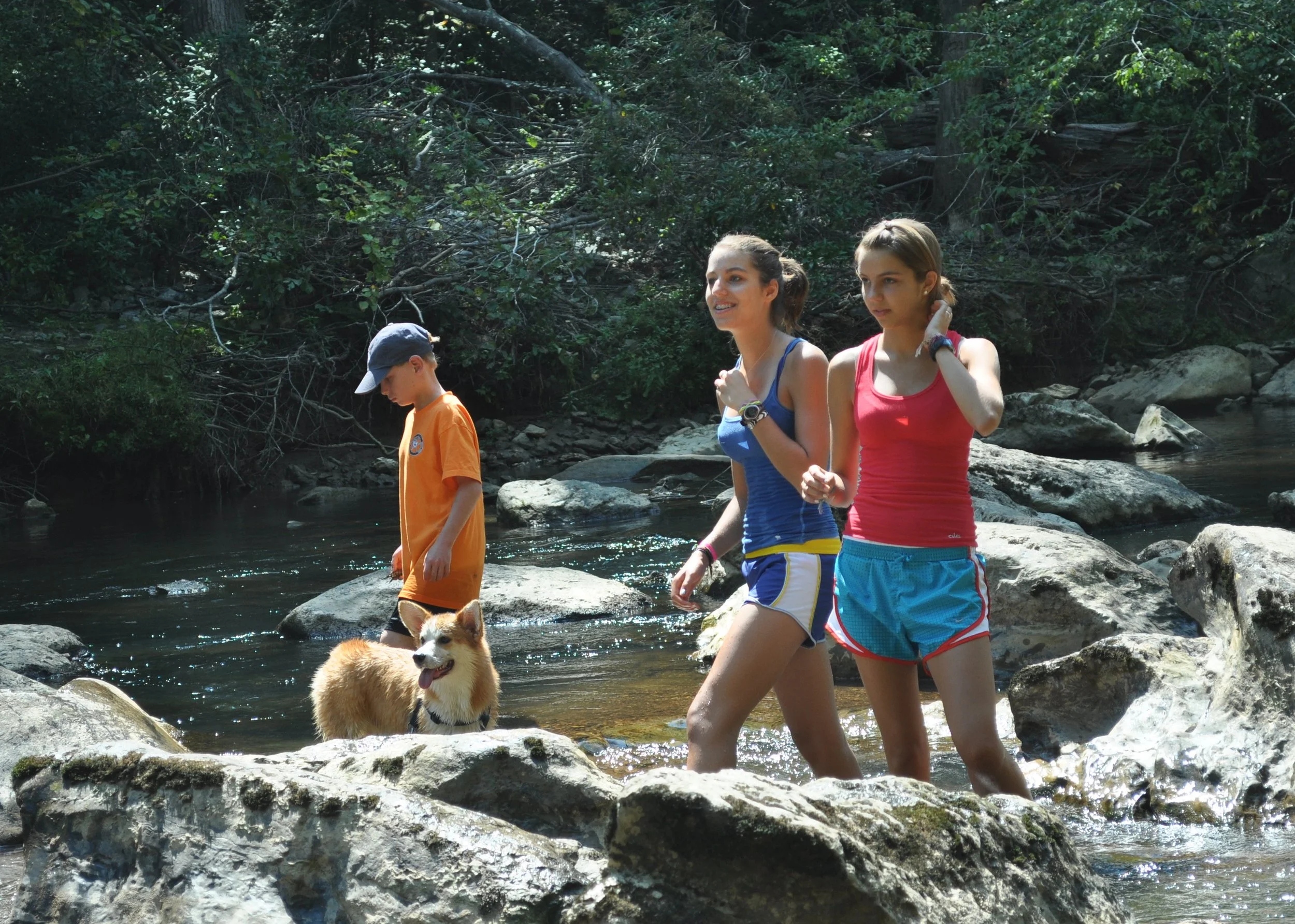 0810 Dogs In Water  Kids.jpg