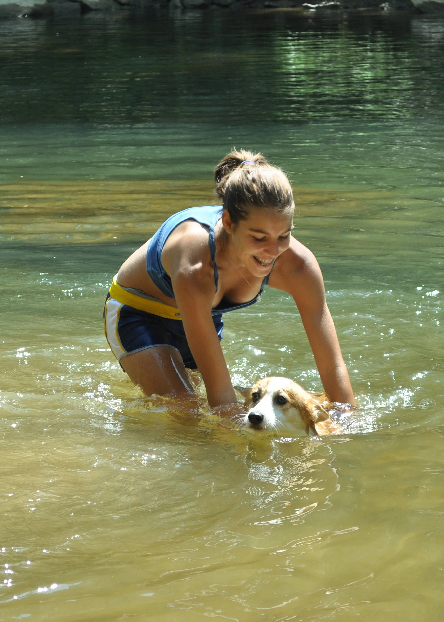 0810 Dogs In Water Ava.jpg