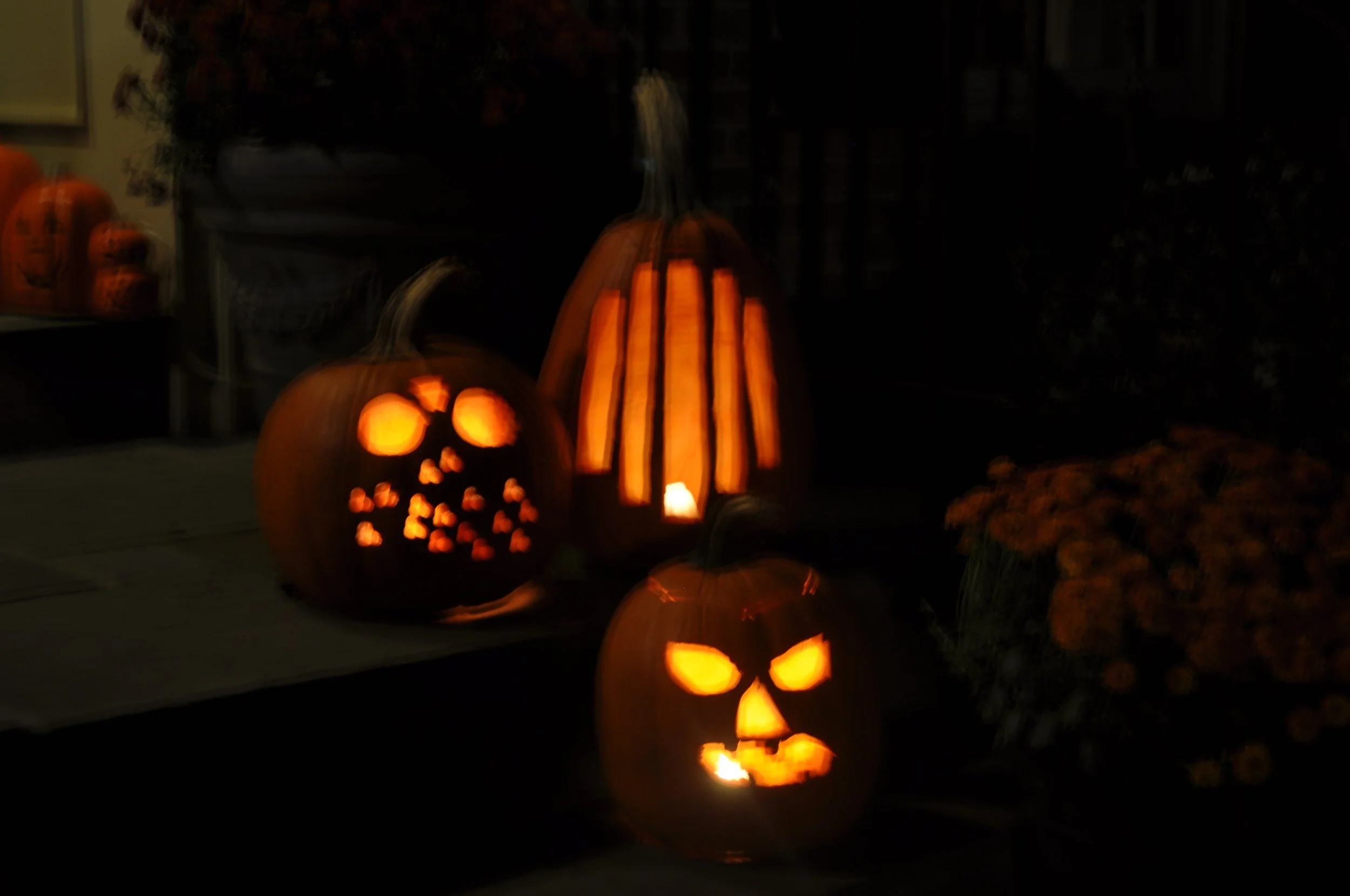 1010 Pumpkins 2.jpg