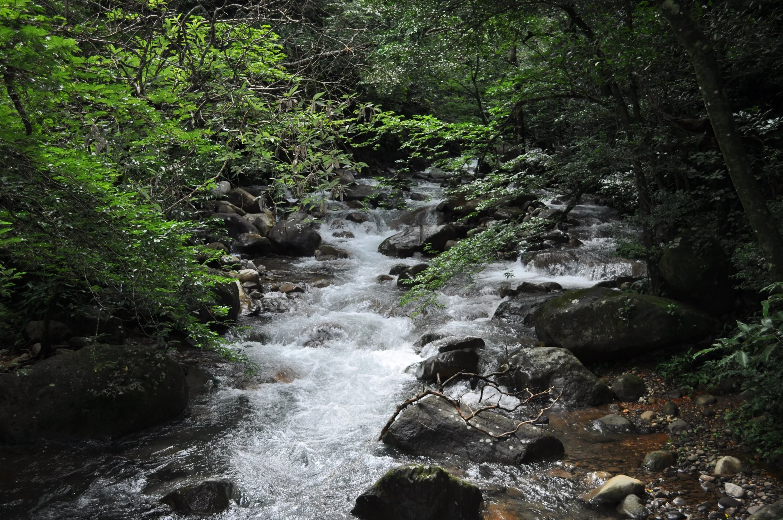 0610 CR 4 Rincon River.jpg