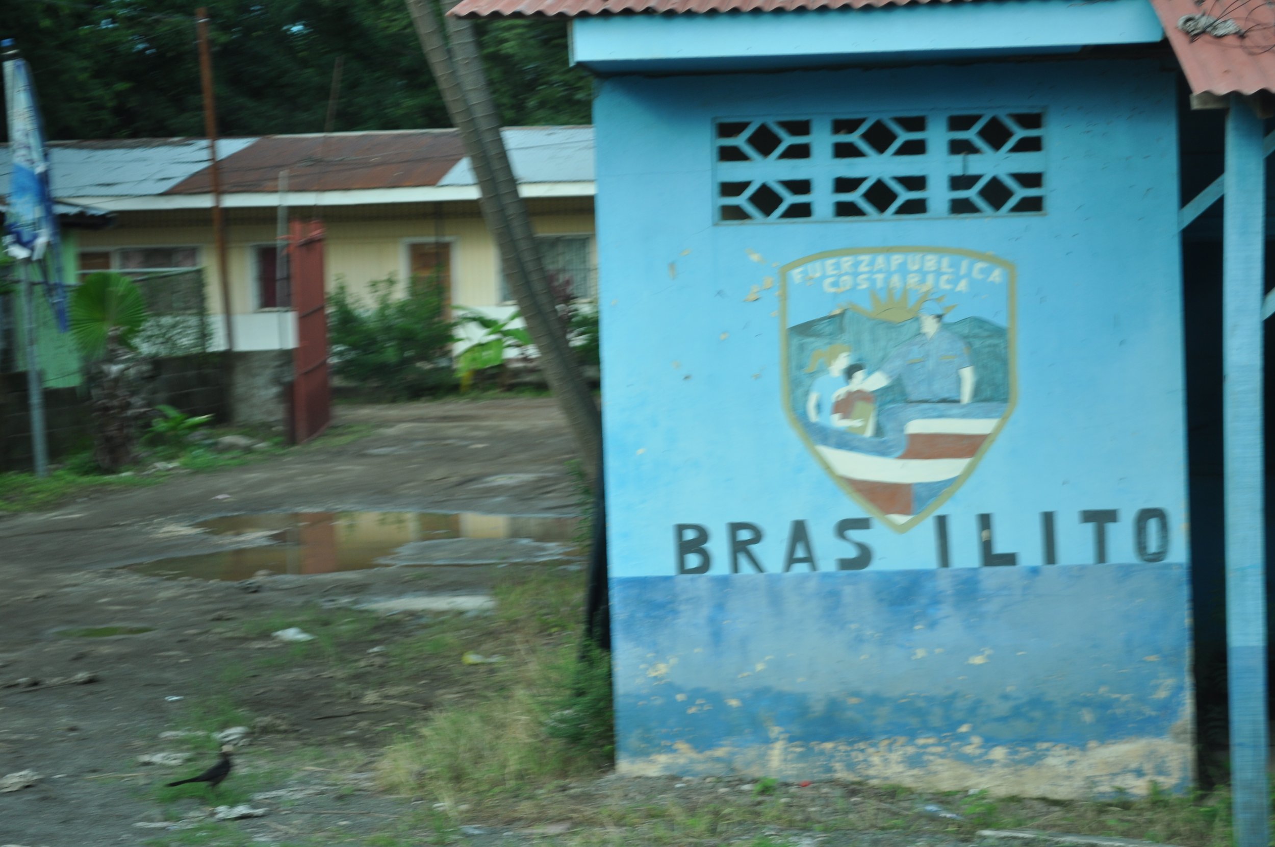 0610 CR 5 Brazilito.jpg