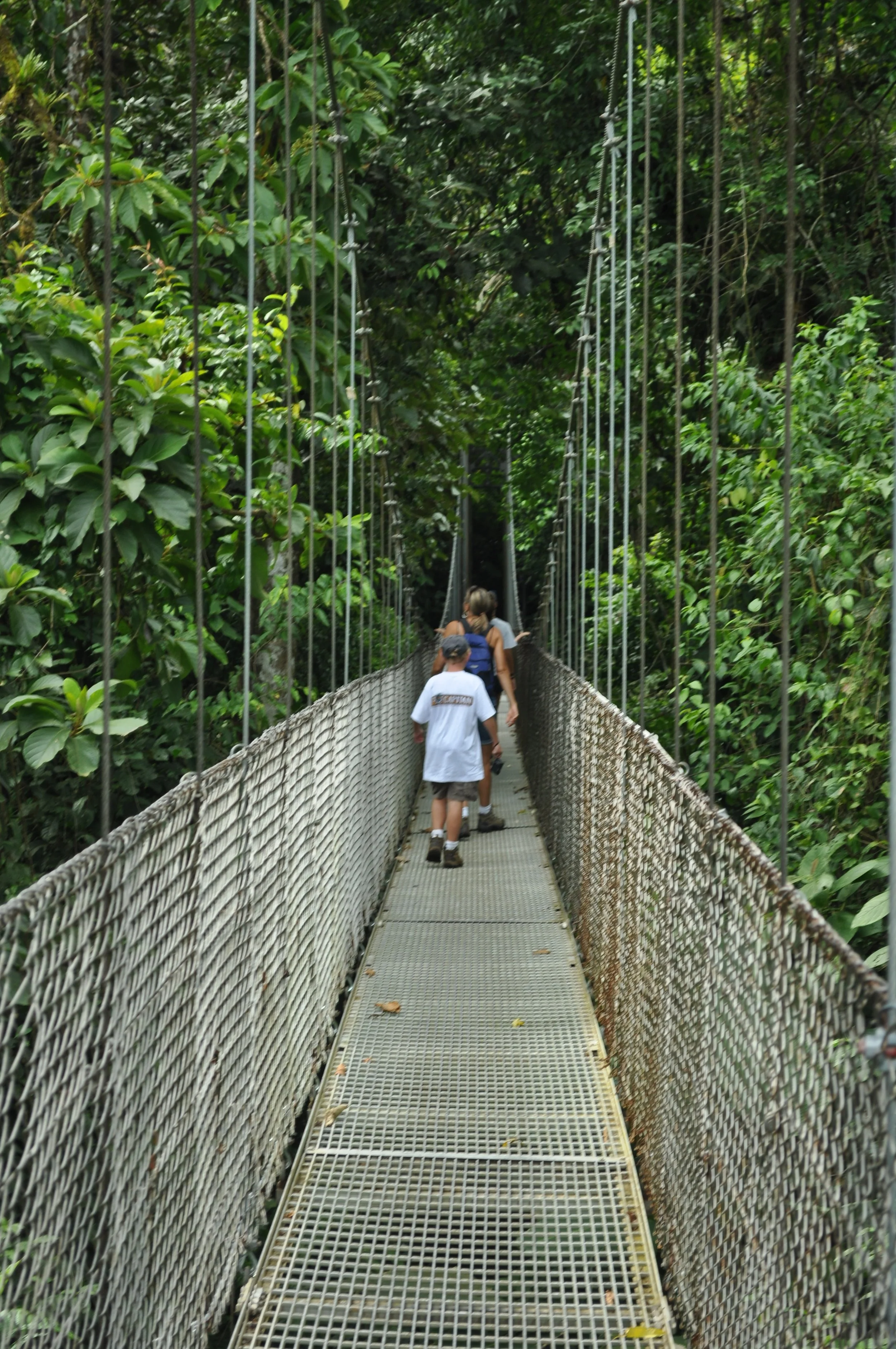 0610 CR 8 Hanging Bridges 1.jpg