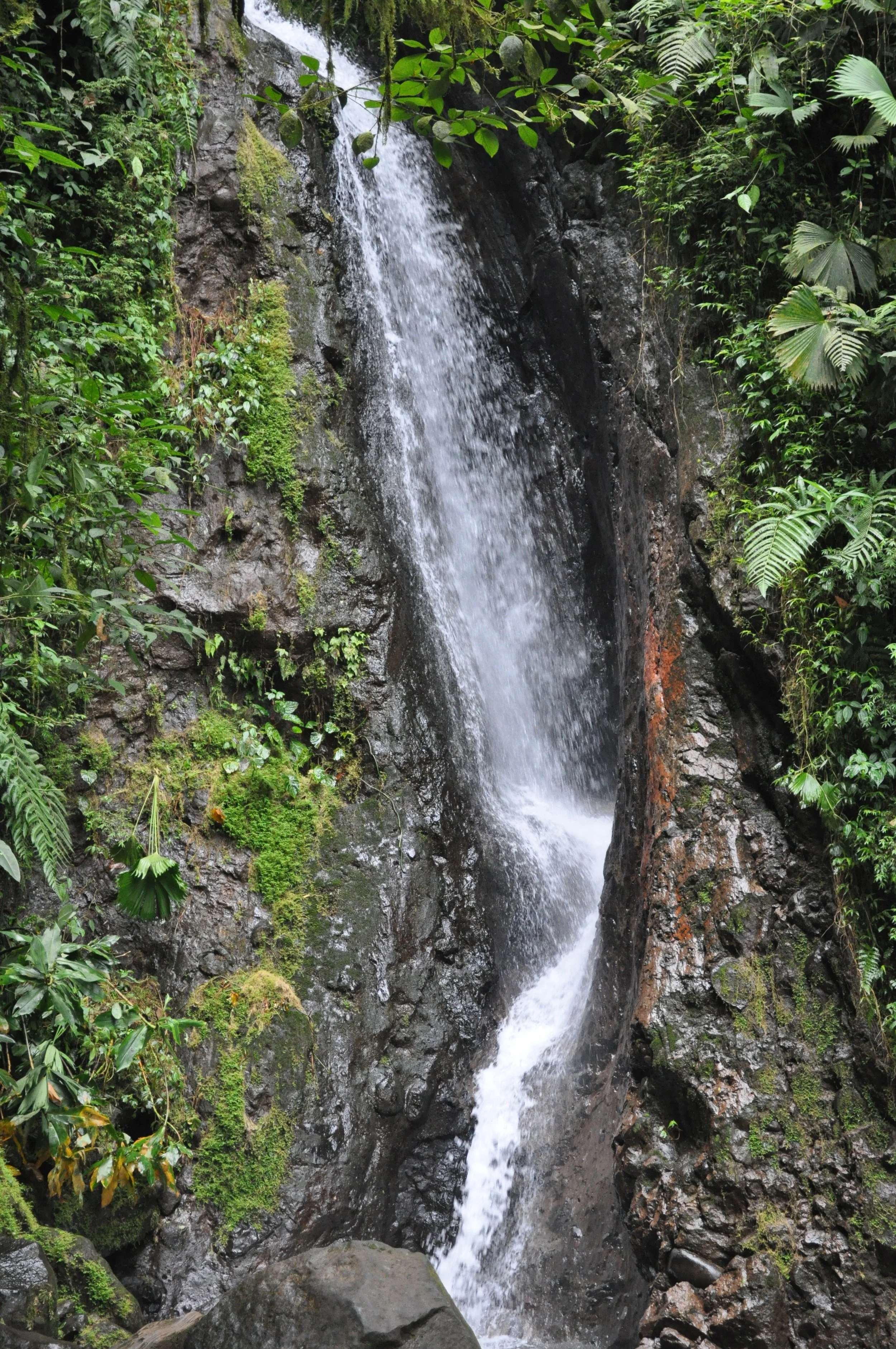 0610 CR 8 Hanging Bridges Water Fall 2.jpg
