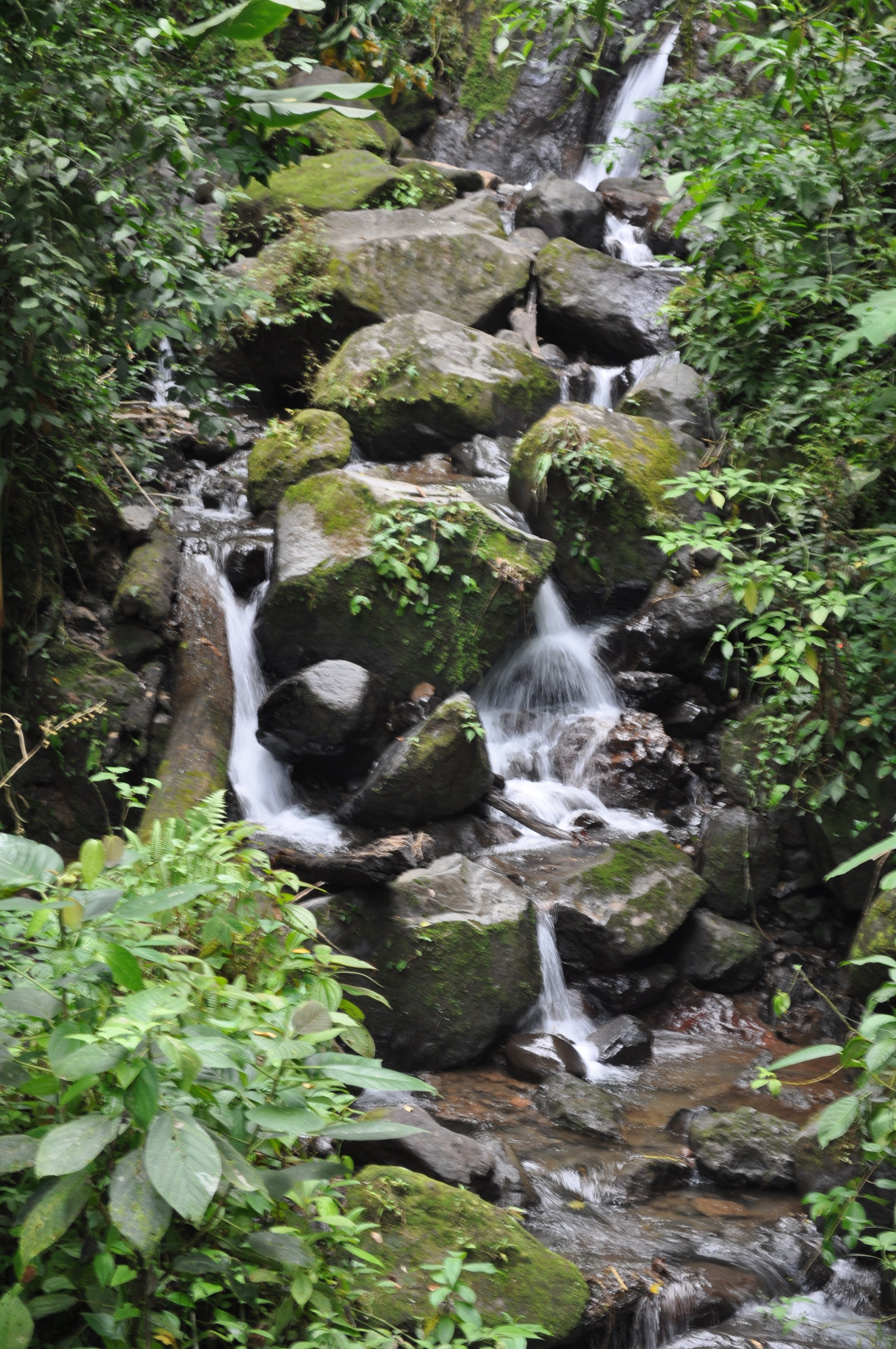 0610 CR 8 Hanging Bridges Water Fall.jpg