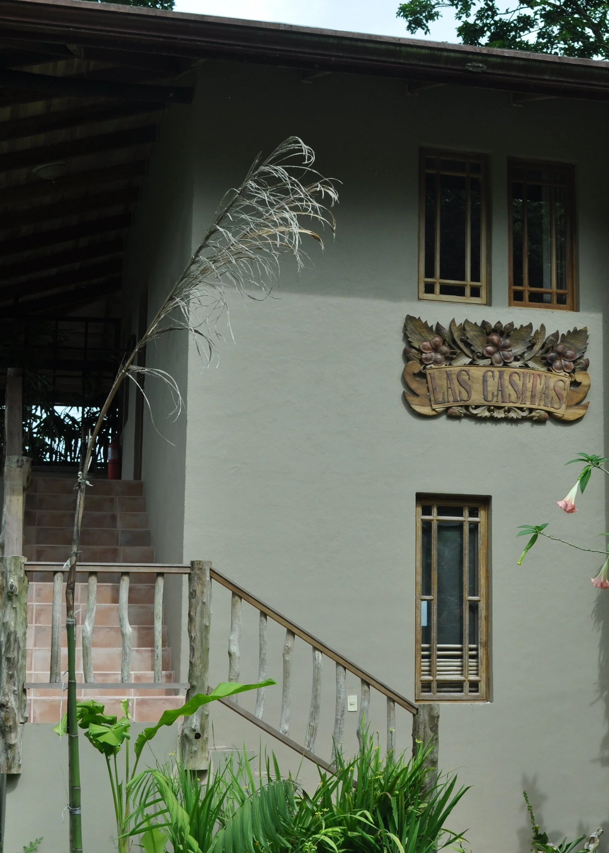 0610 CR 8 Lost Iguana Casita.jpg