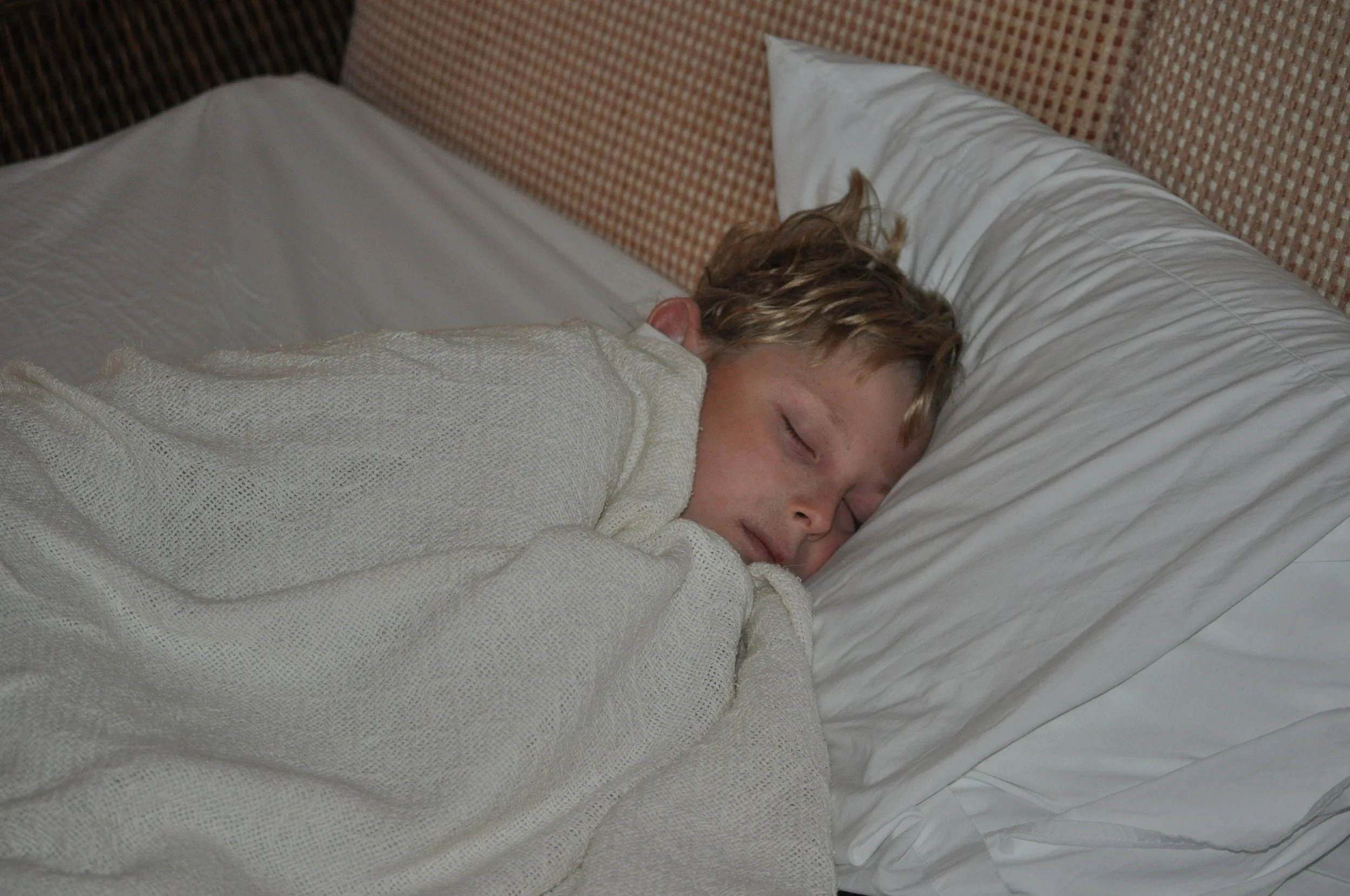 0610 CR 9 Lost Iguana Nate Sleep.jpg