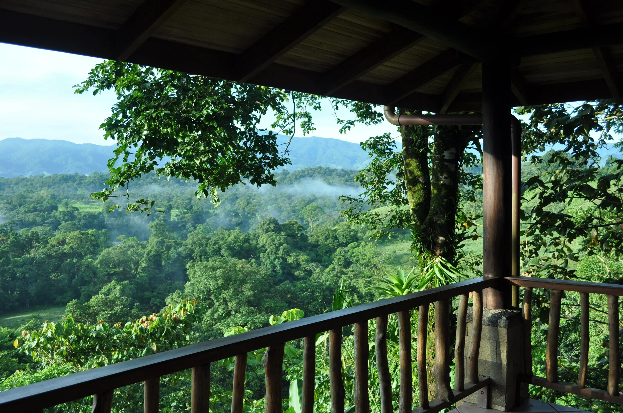 0610 CR 9 Lost Iguana Porch.jpg