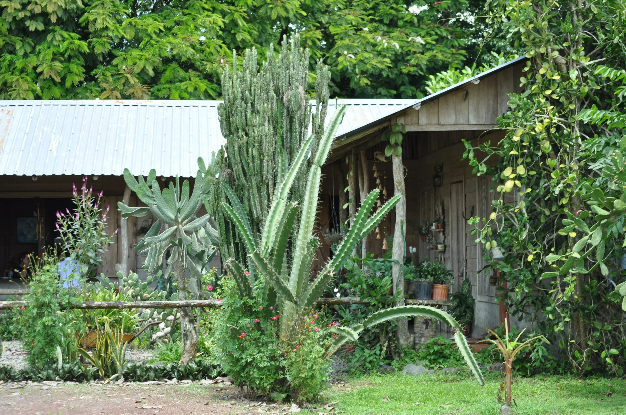 0610 CR 9Z Kayak Snack.jpg