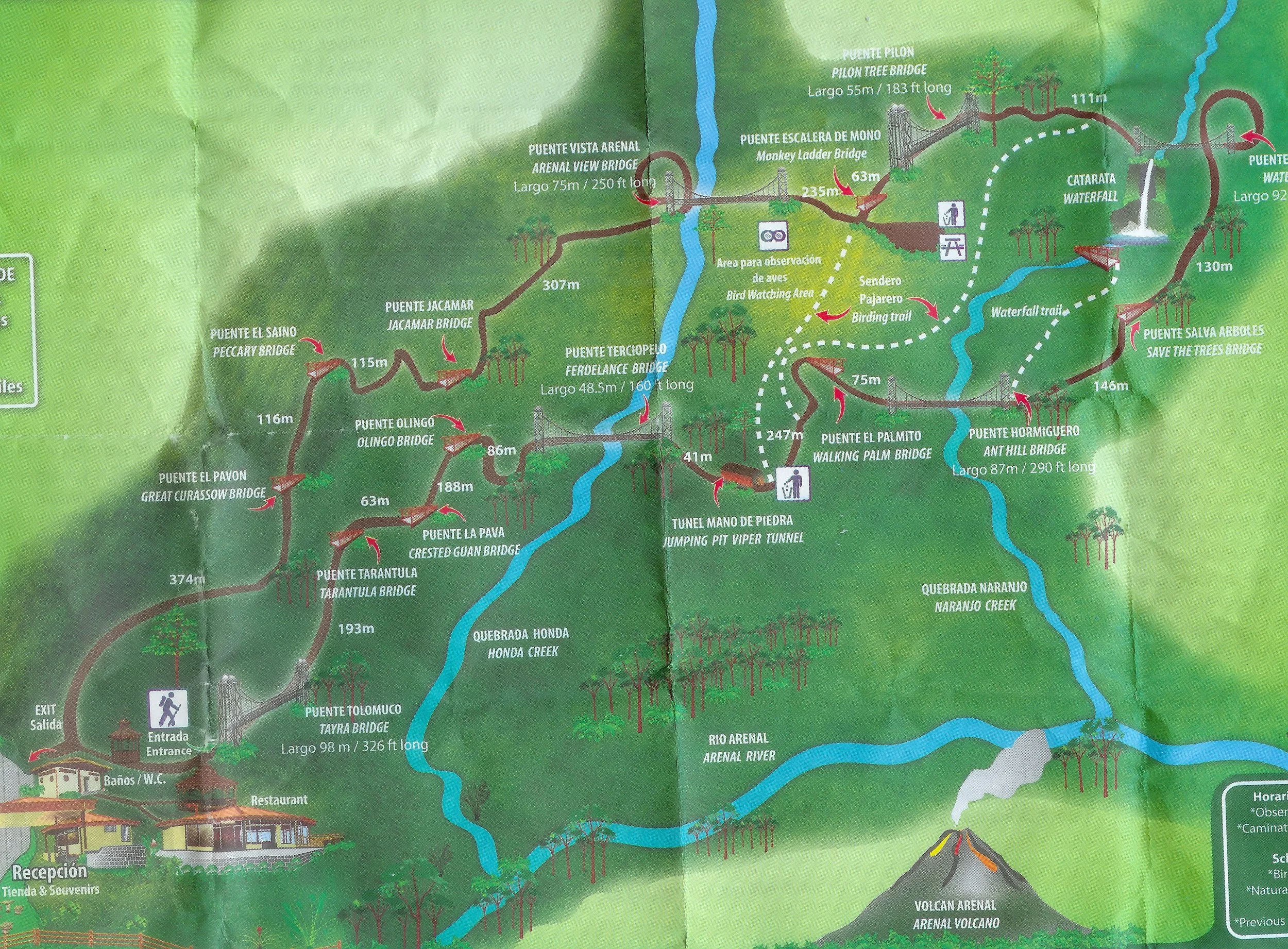 Arenal Hanging Bridges.jpg