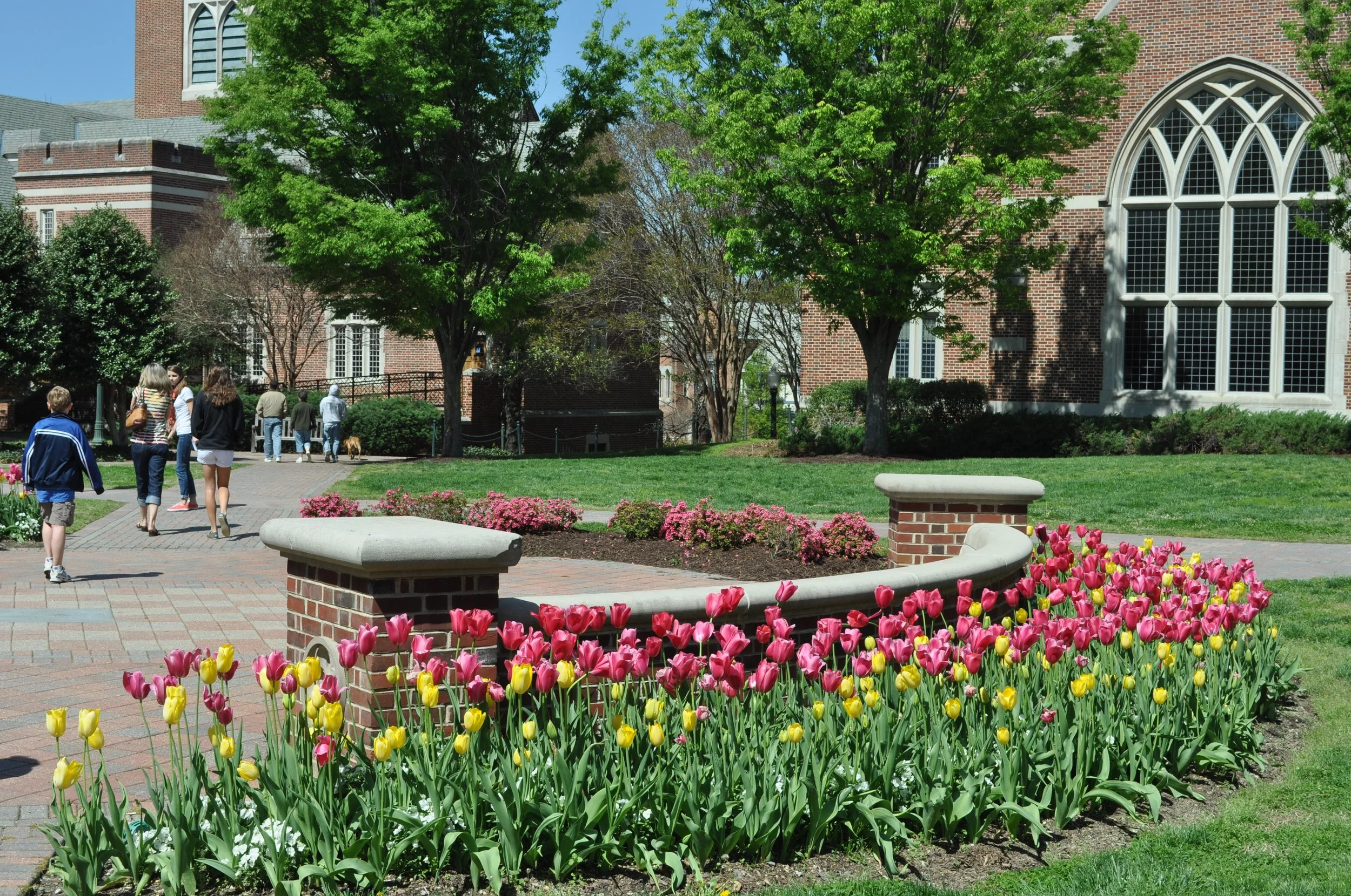 0411 U Richmond 7.jpg