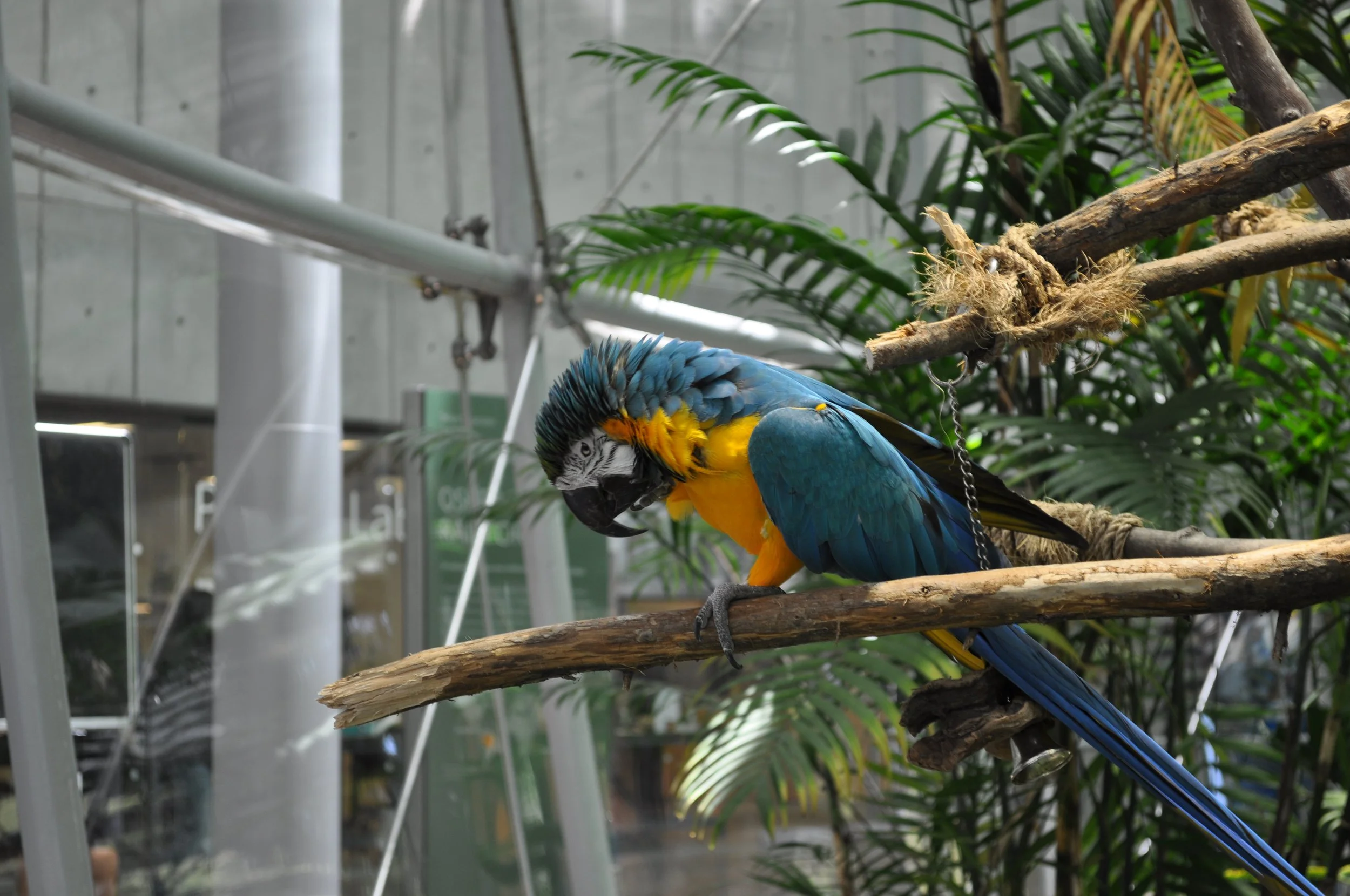 0611 22 CA Acad Science 1.jpg