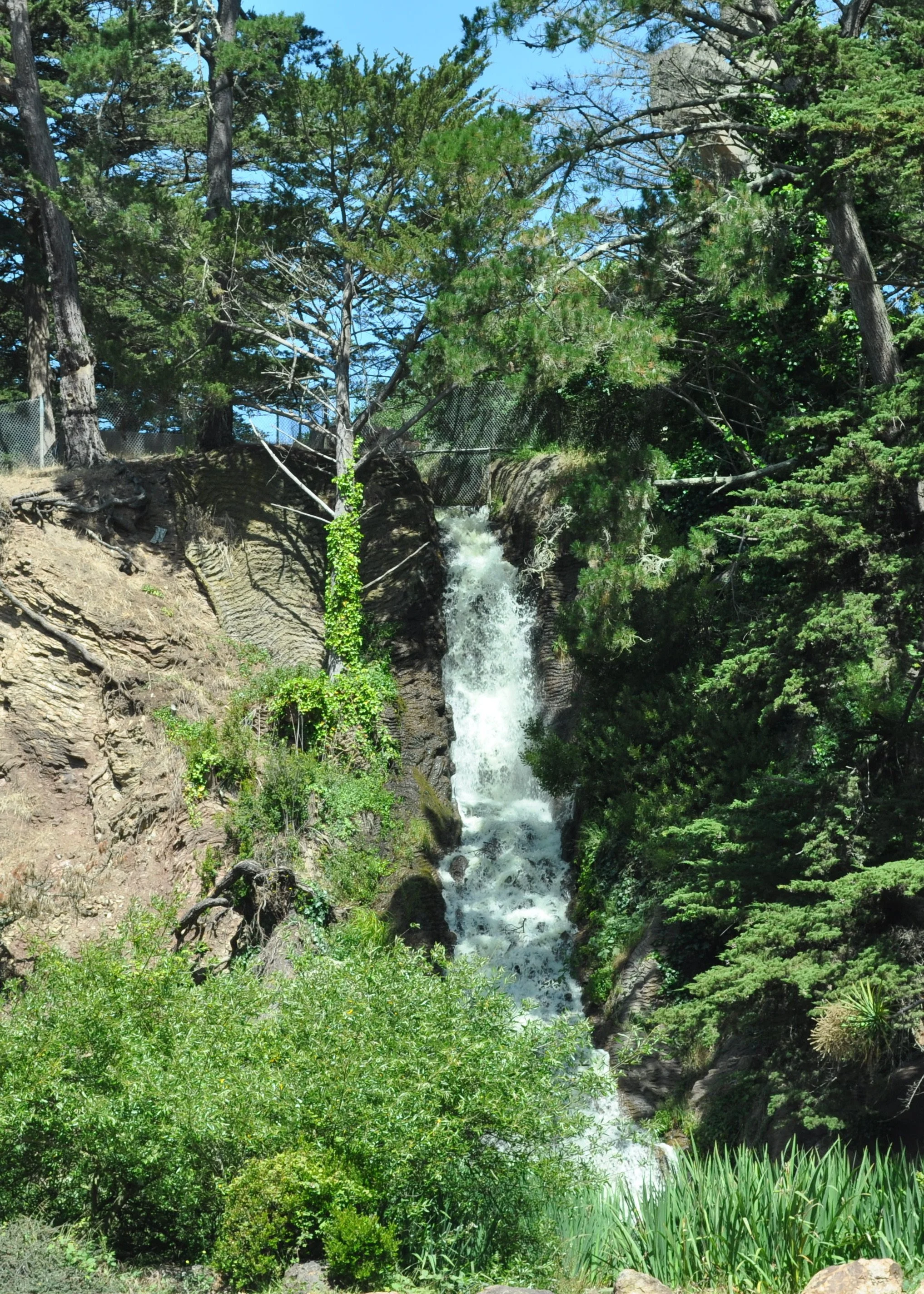 0611 22 CA Golden Gate Park 2.jpg