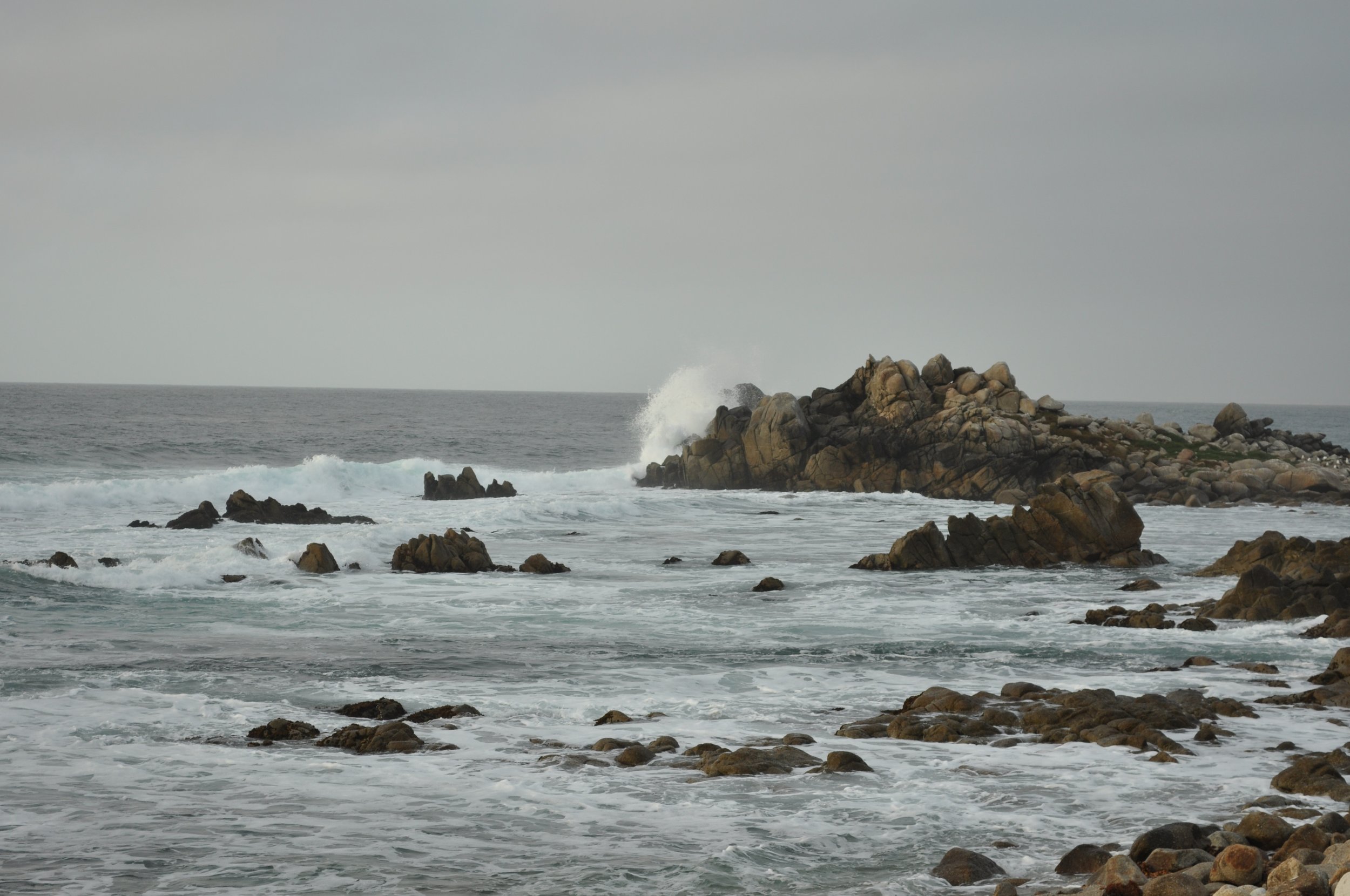 0611 25 CA Pacific Grove Coast 1.jpg
