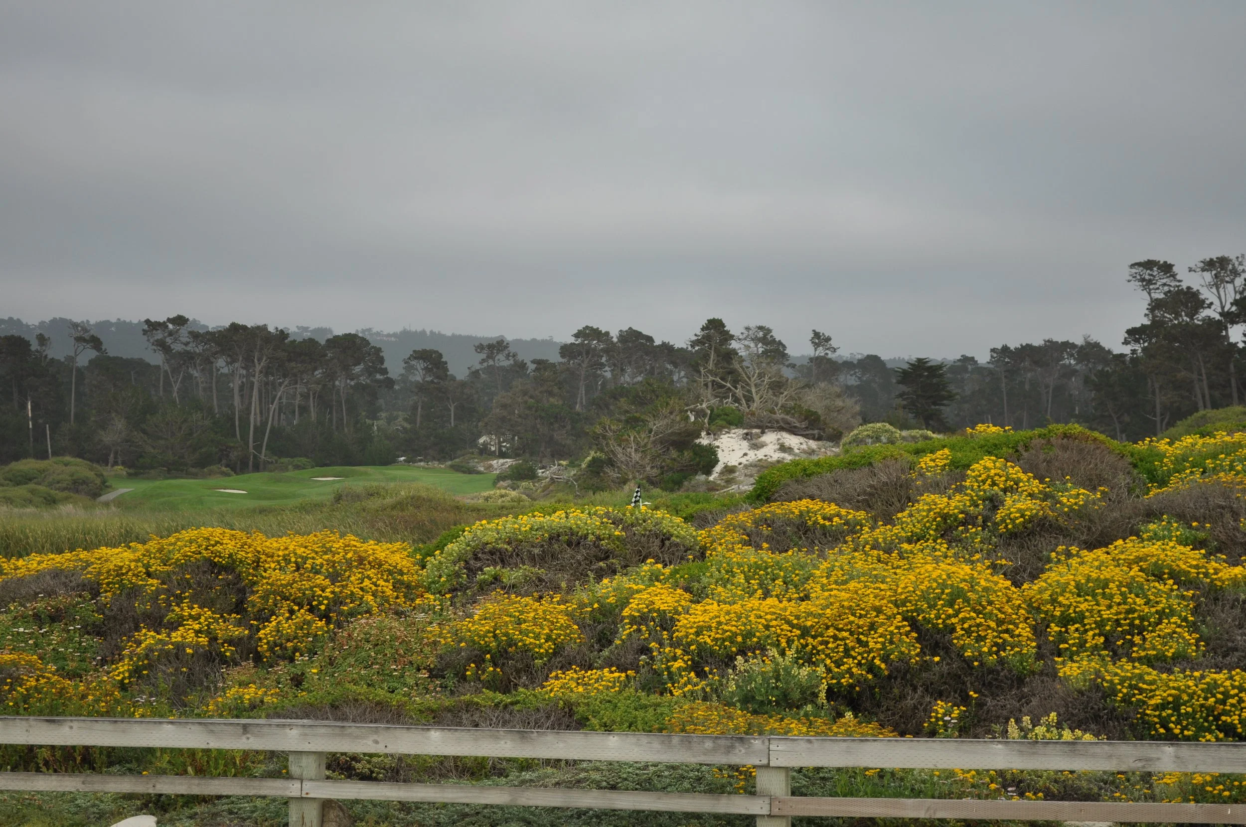 0611 25 CA Spanish Bay .jpg