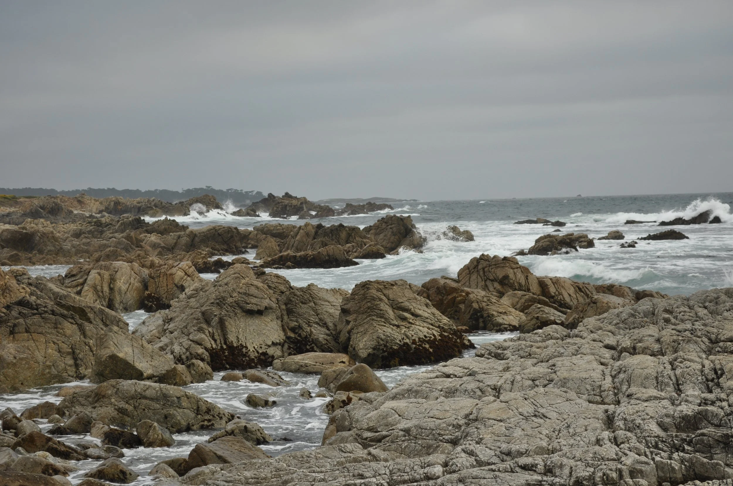 0611 25 CA Spanish Bay 2 .jpg