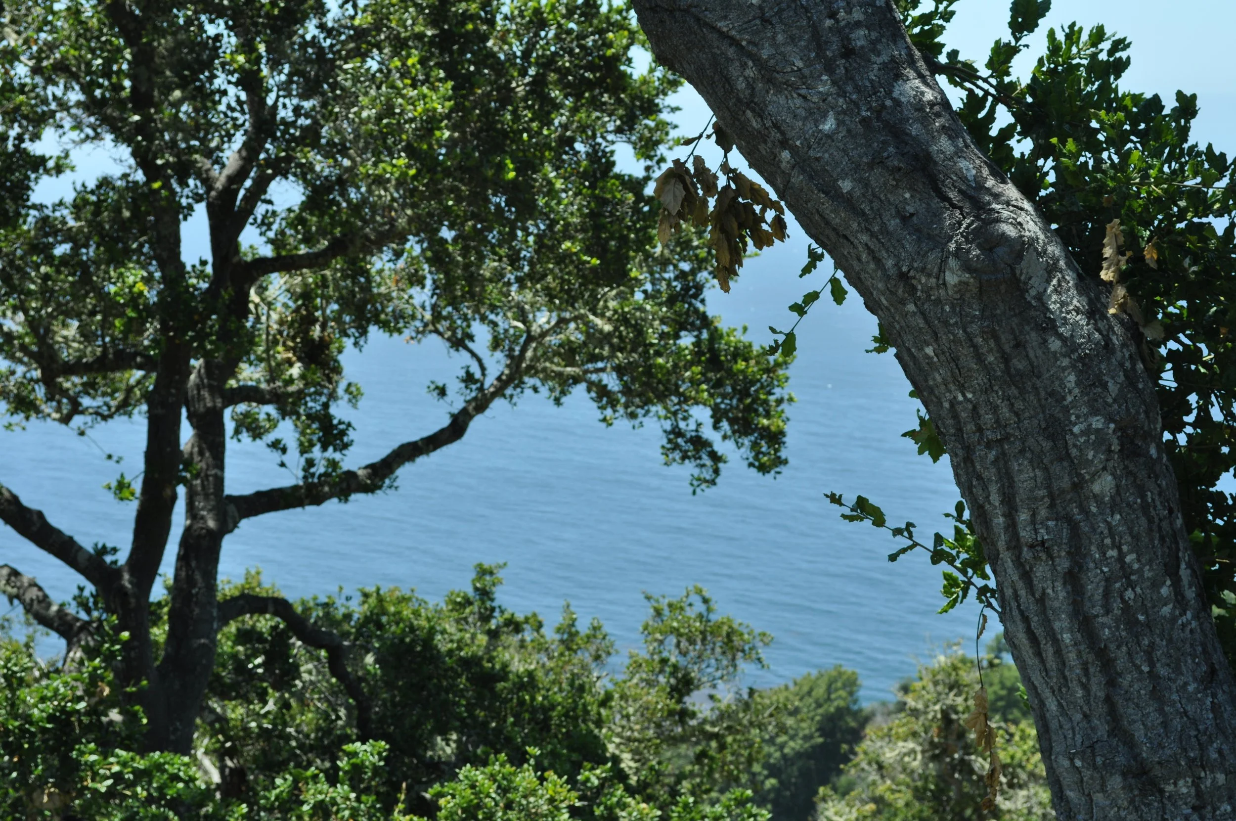 0611 26 Big Sur Ne Penthe 2.jpg