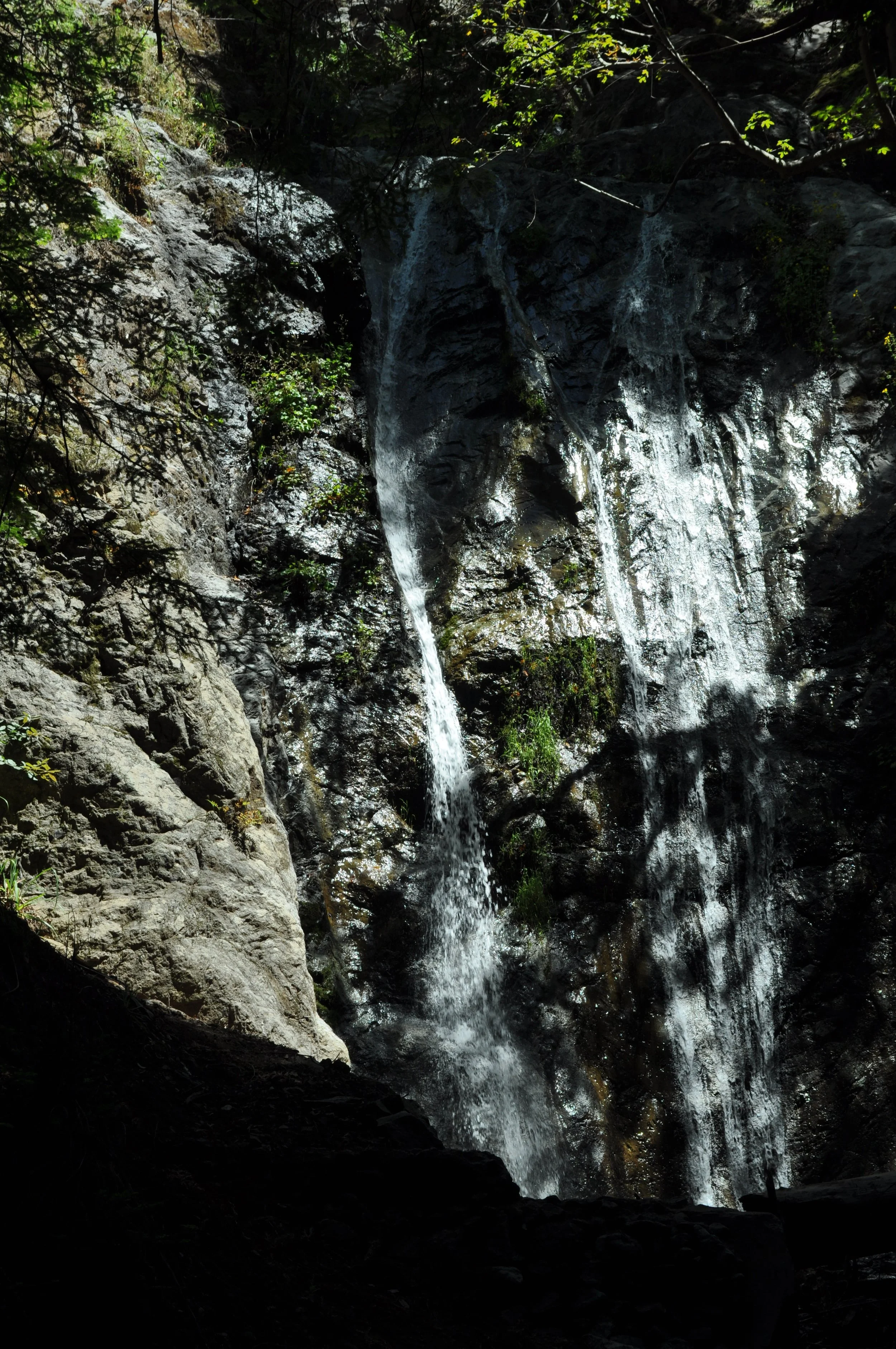 0611 26 Big Sur Pfeiffer Falls 4.jpg