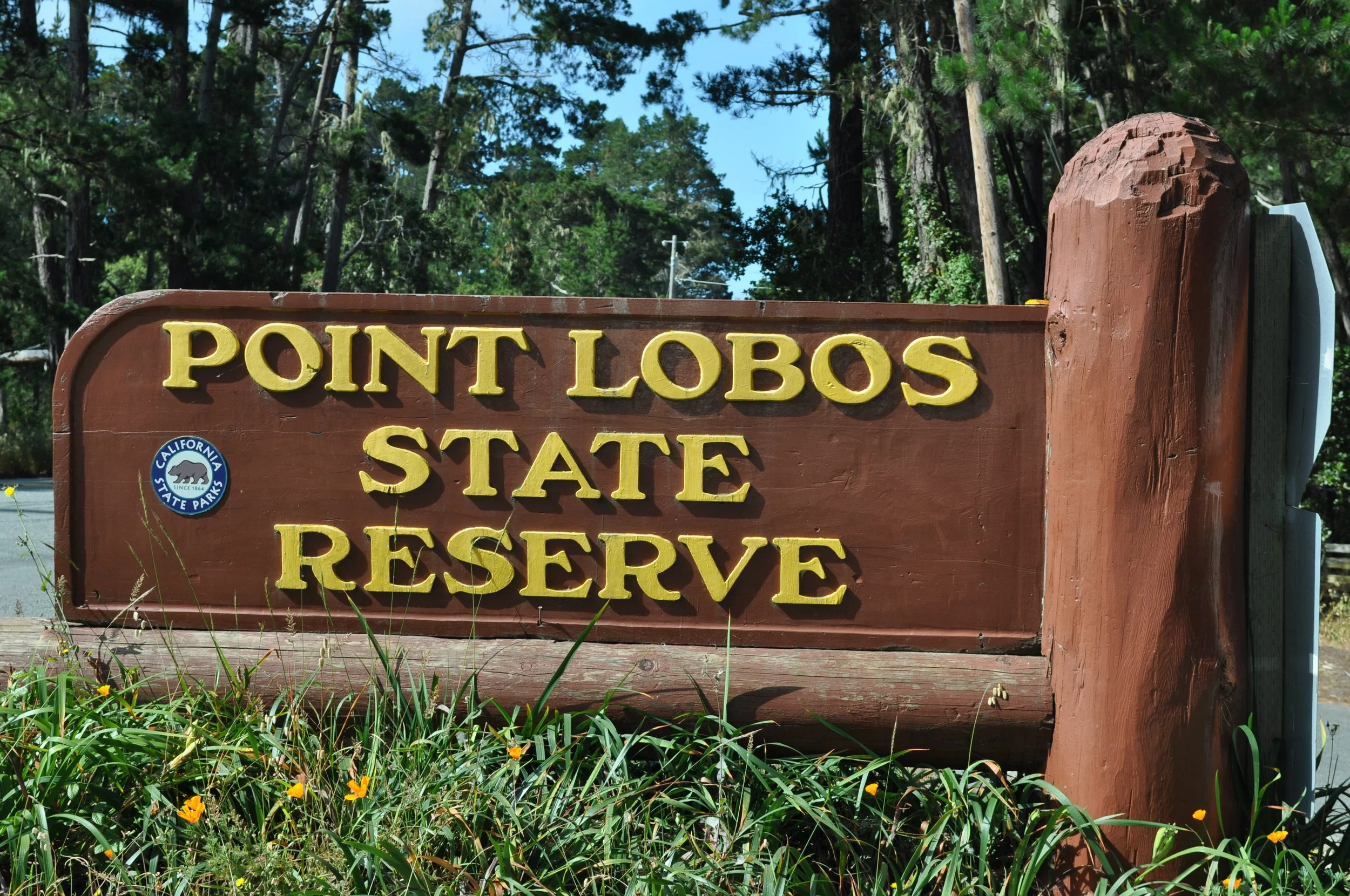 0611 26 CA Point Lobos 1.jpg