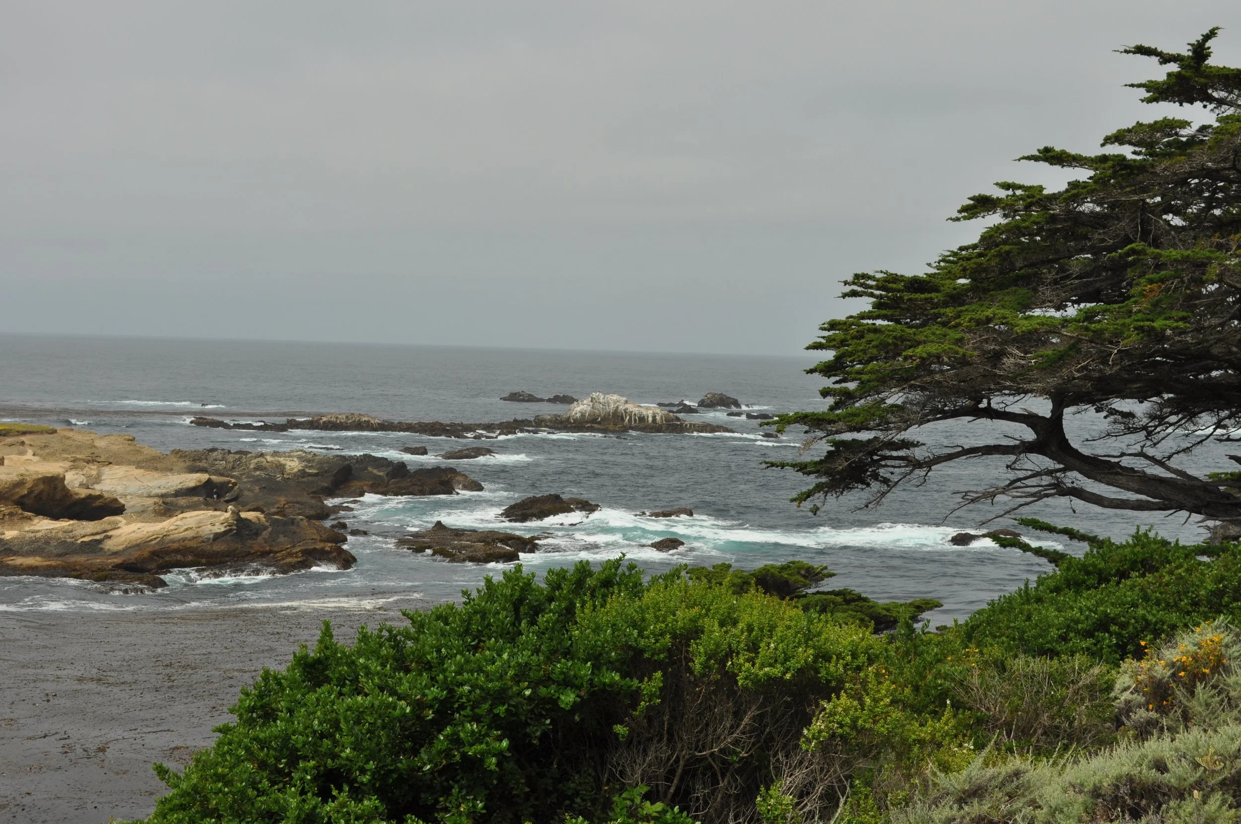 0611 26 CA Point Lobos 3.jpg