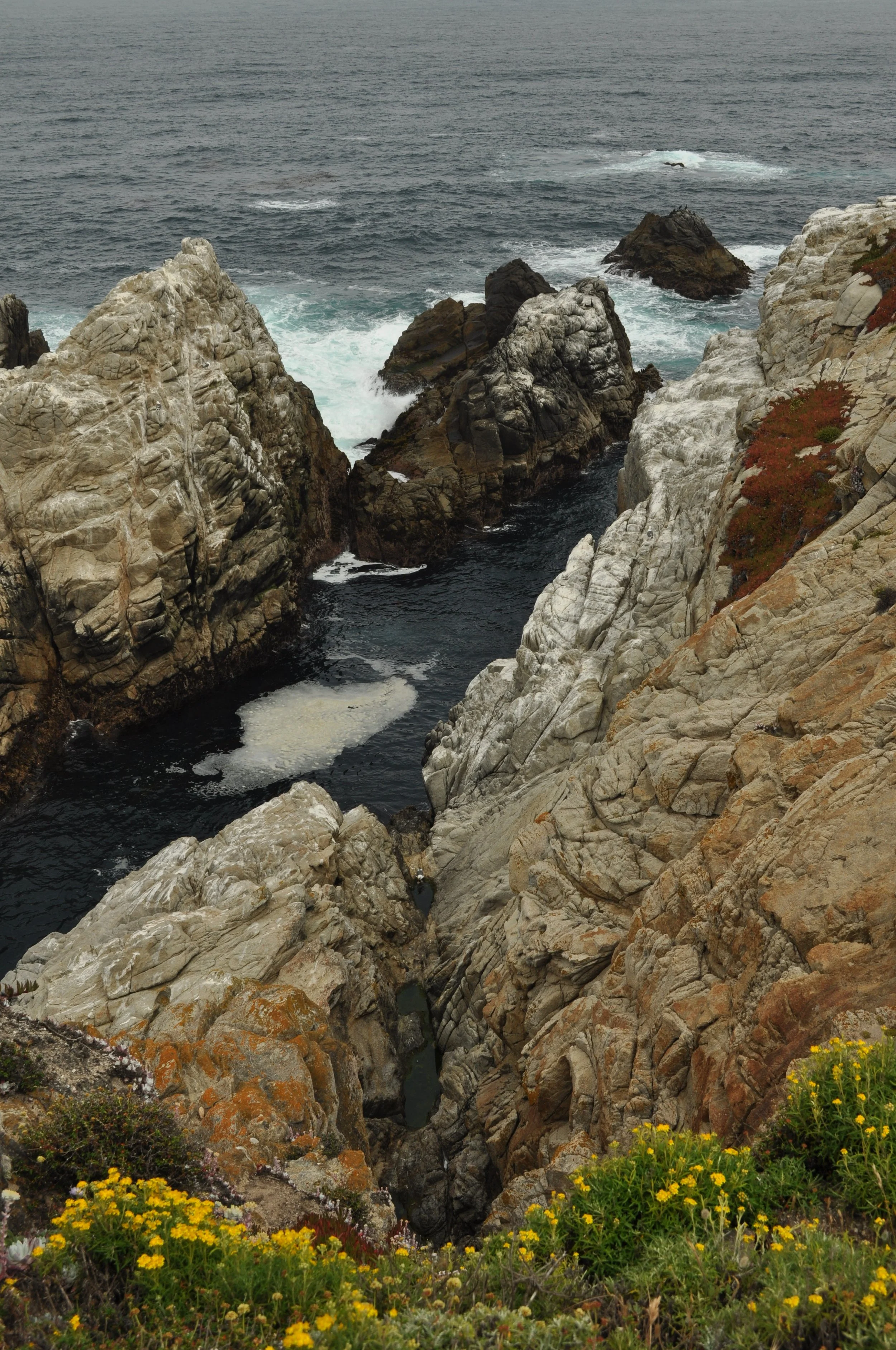 0611 26 CA Point Lobos 5 .jpg