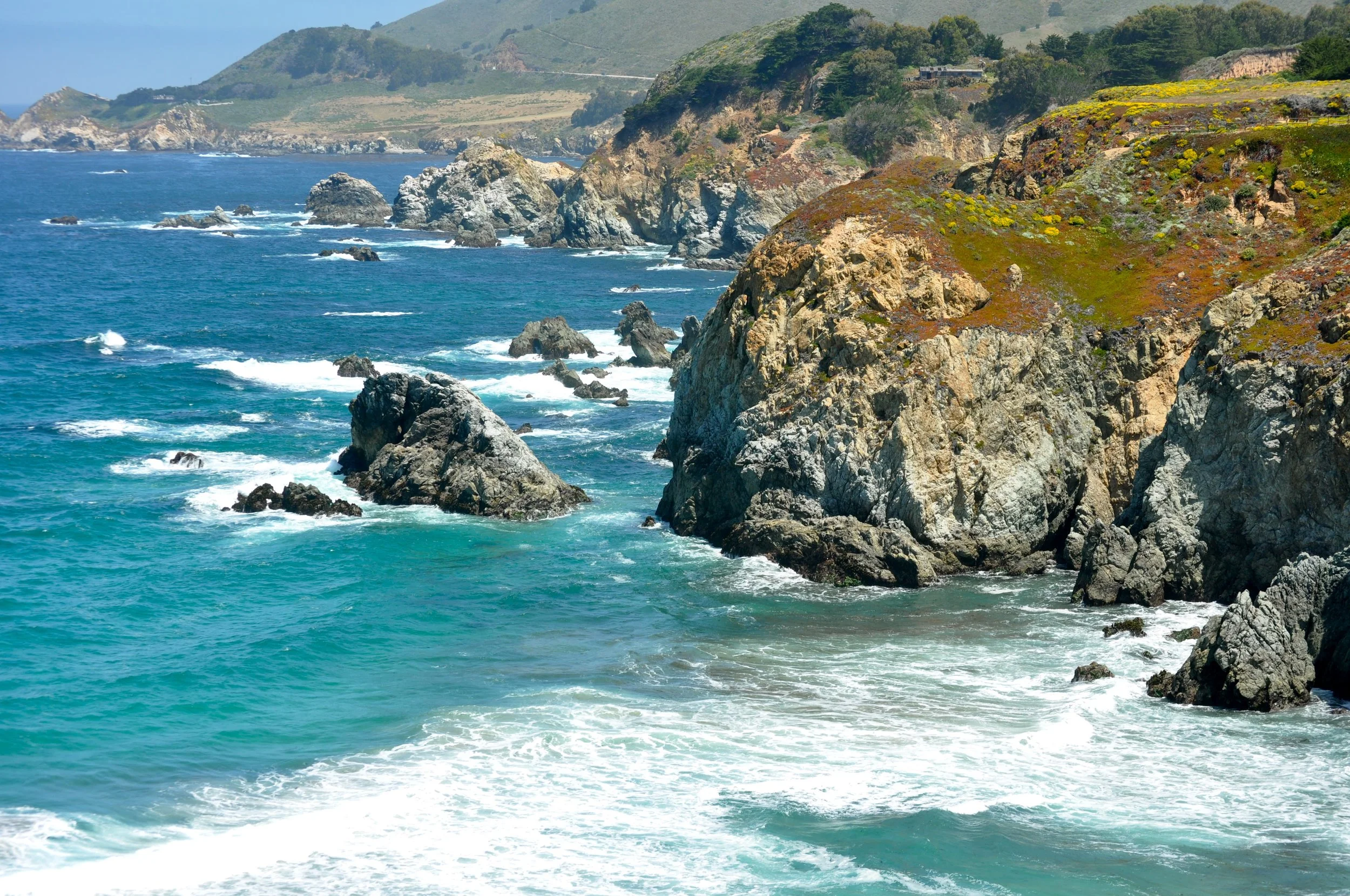 0611 26 CA Point Lobos 8.jpg