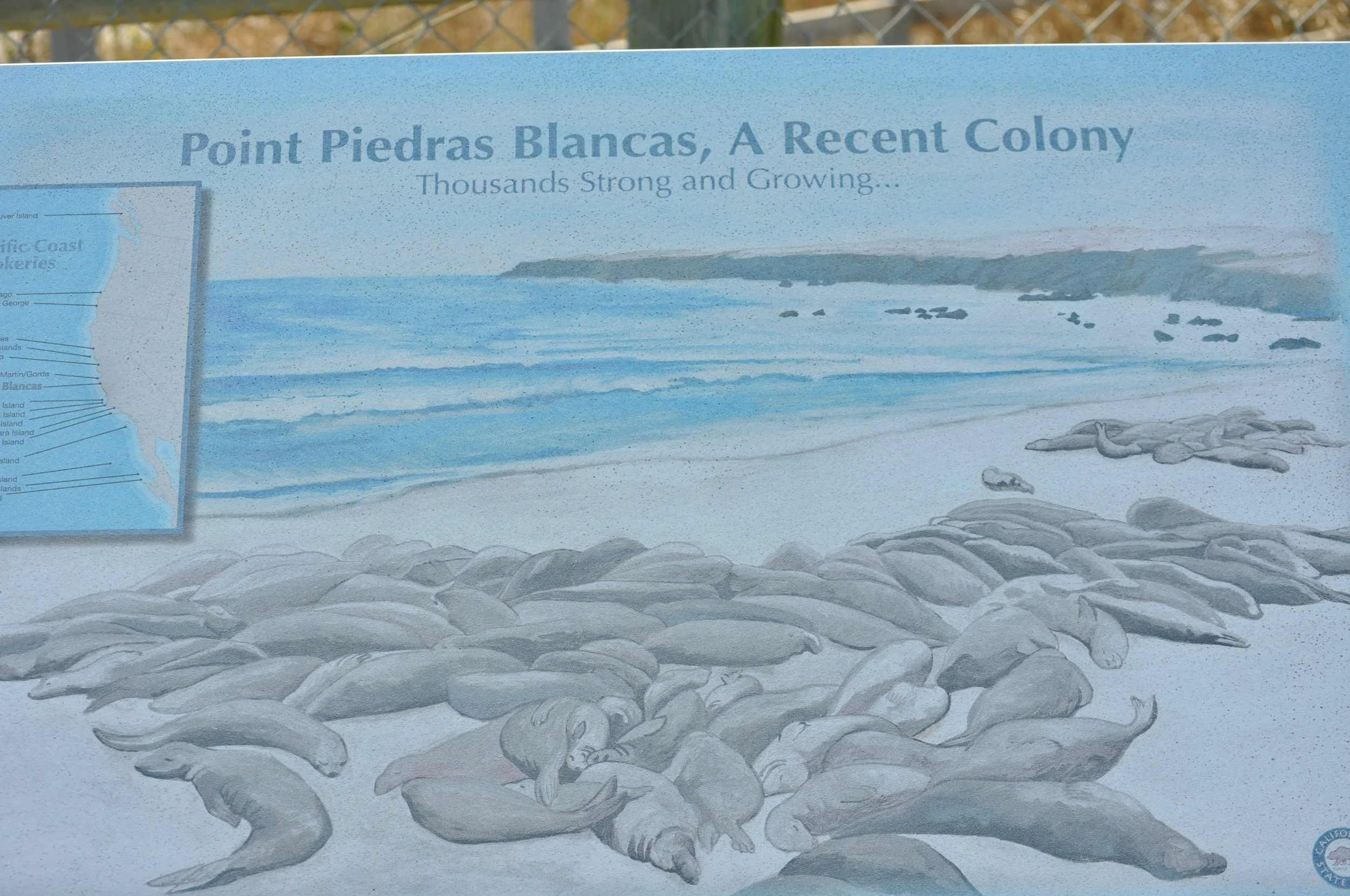 0611 26 CA Pt Piedras Blanca 1.jpg