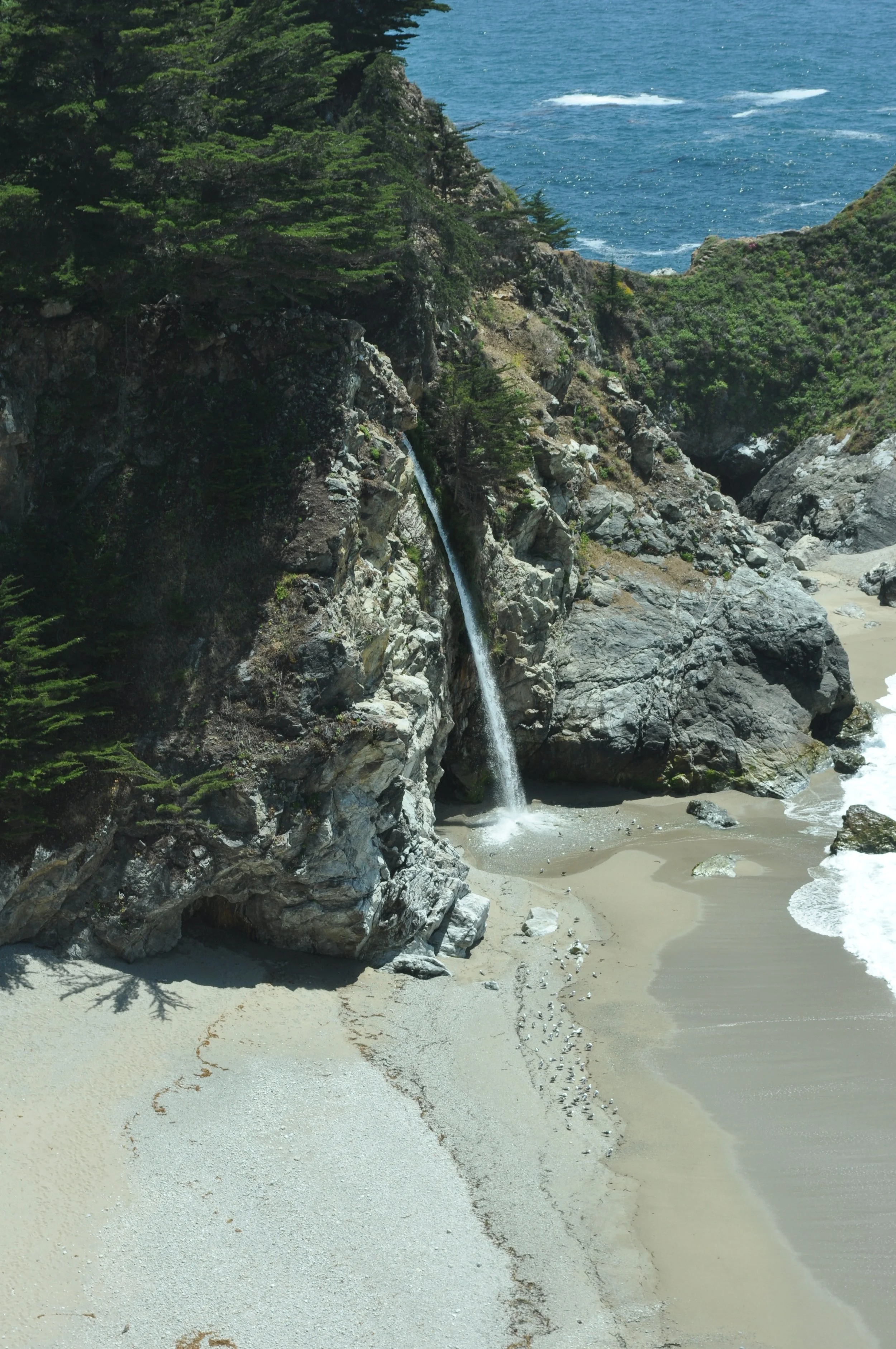 0611 26 J Pfeiffer Burns 1 .jpg