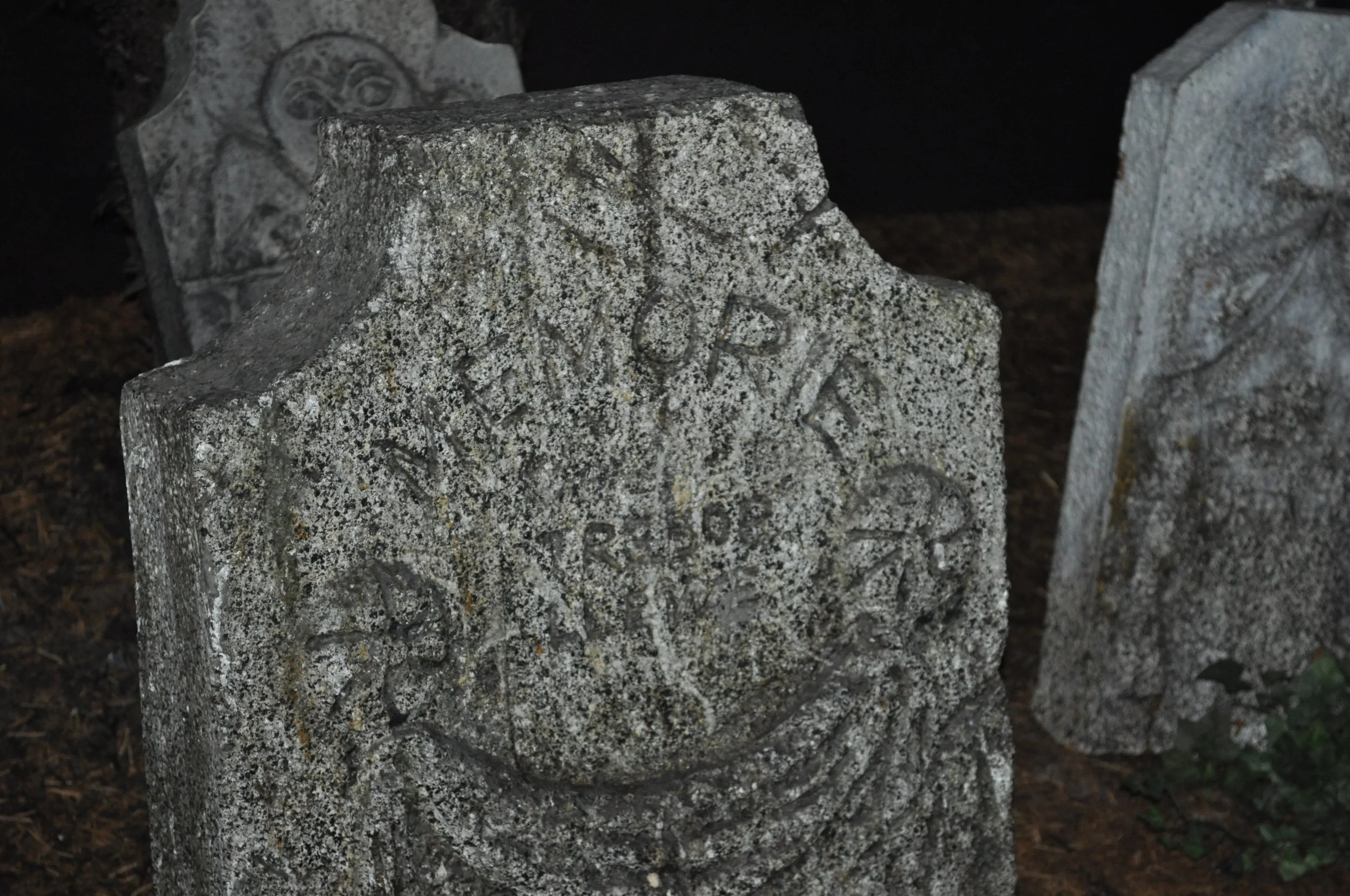 0611 29 CA Disneyland Haunted Mansion 2.jpg