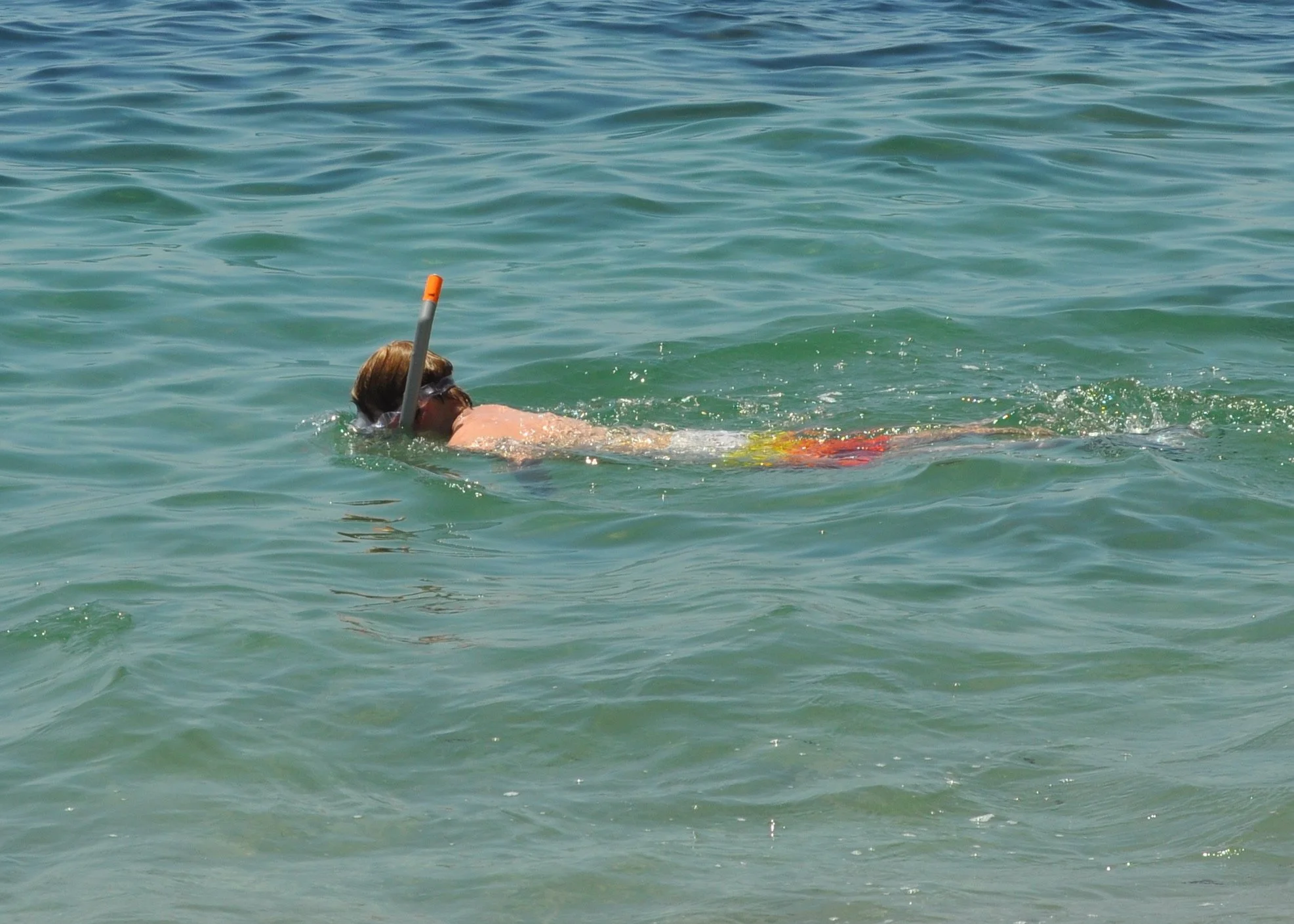 0611 29 CA Laguna Nate Snorkel .jpg