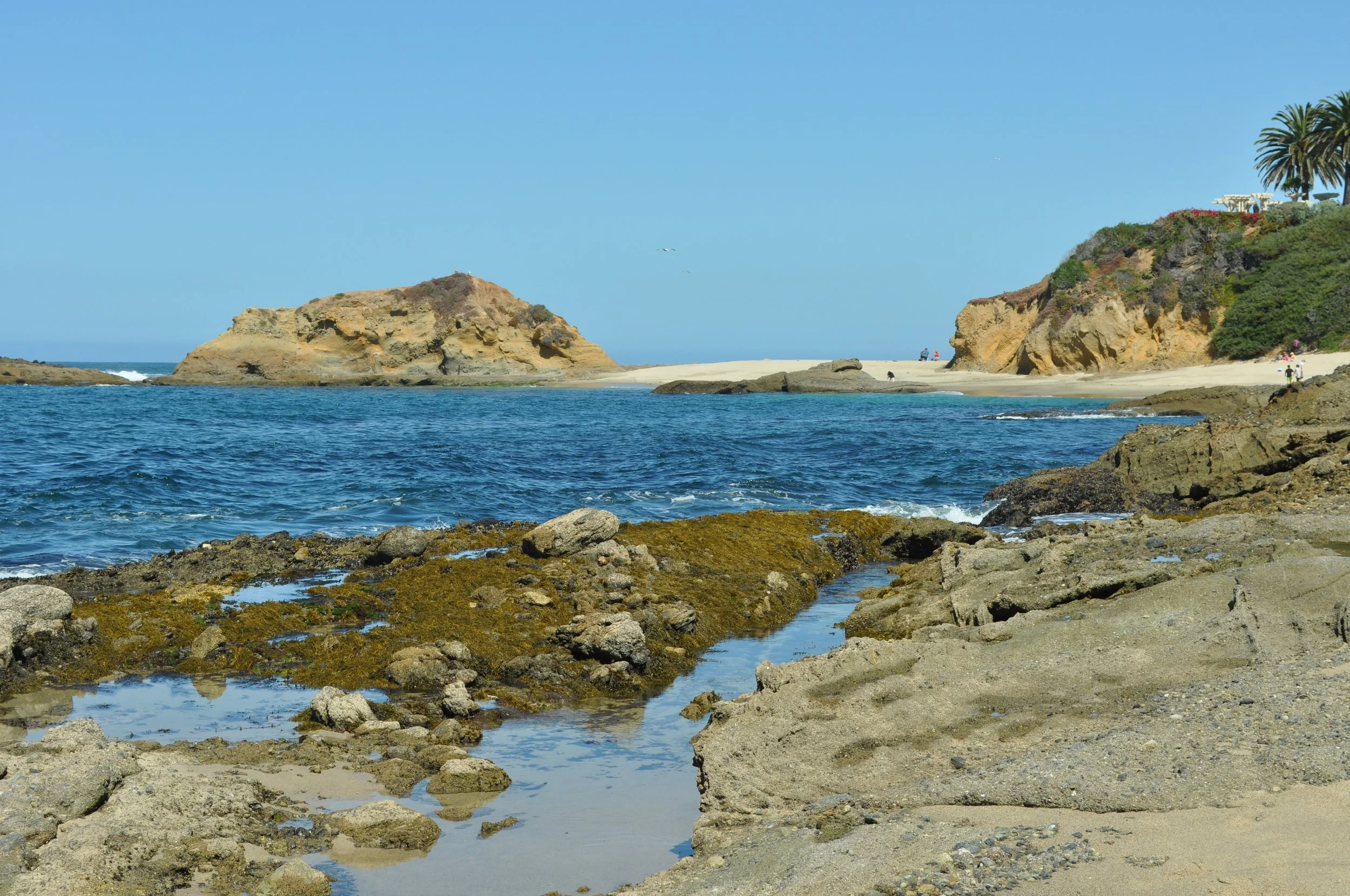 0611 30 CA Laguna 2.jpg