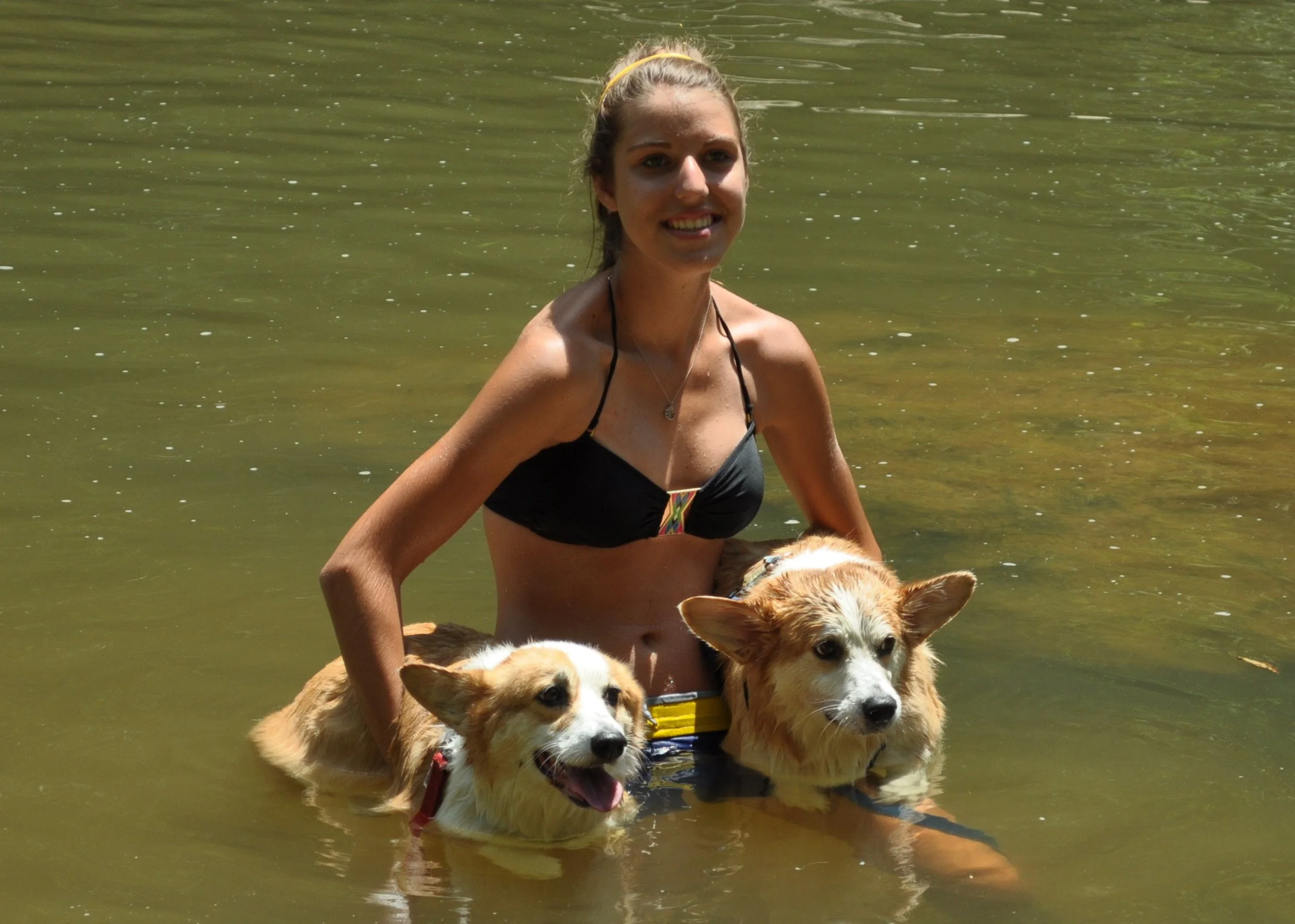 0711 Difficult Run Ava Dogs.jpg