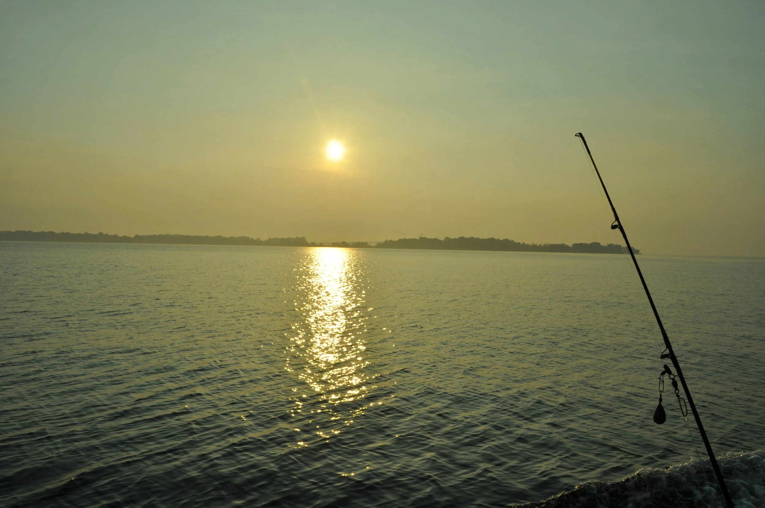 0512 Bay Fishing 2.jpg