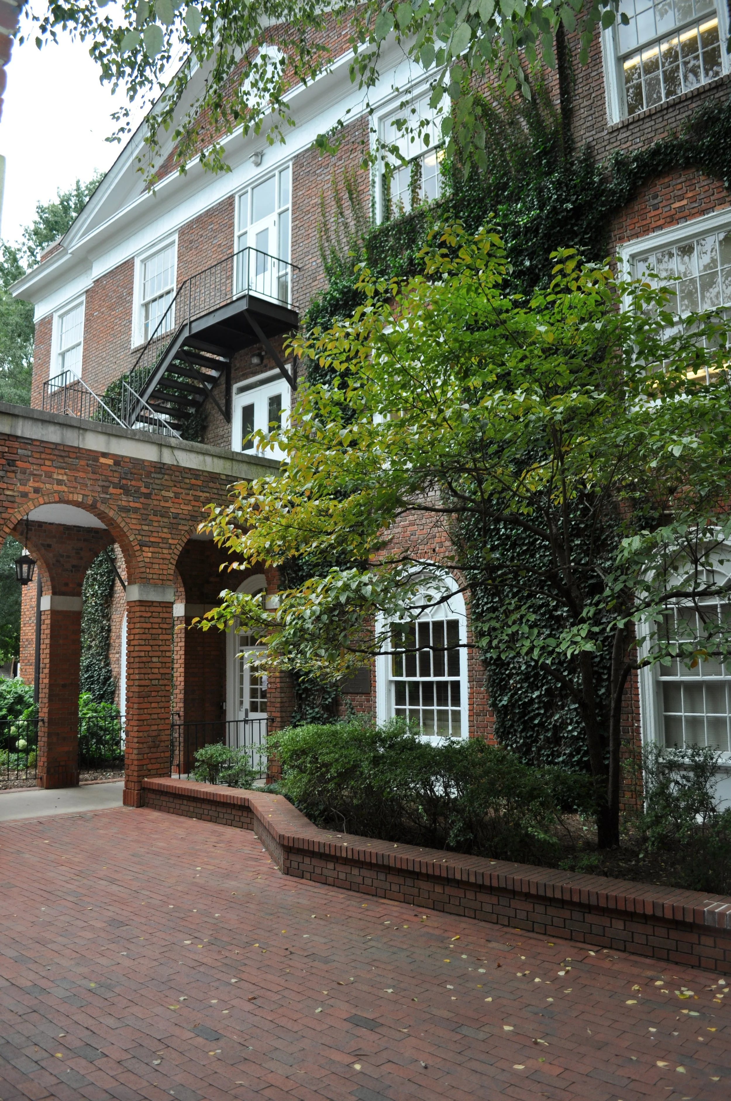 0812 Elon Mooney.jpg