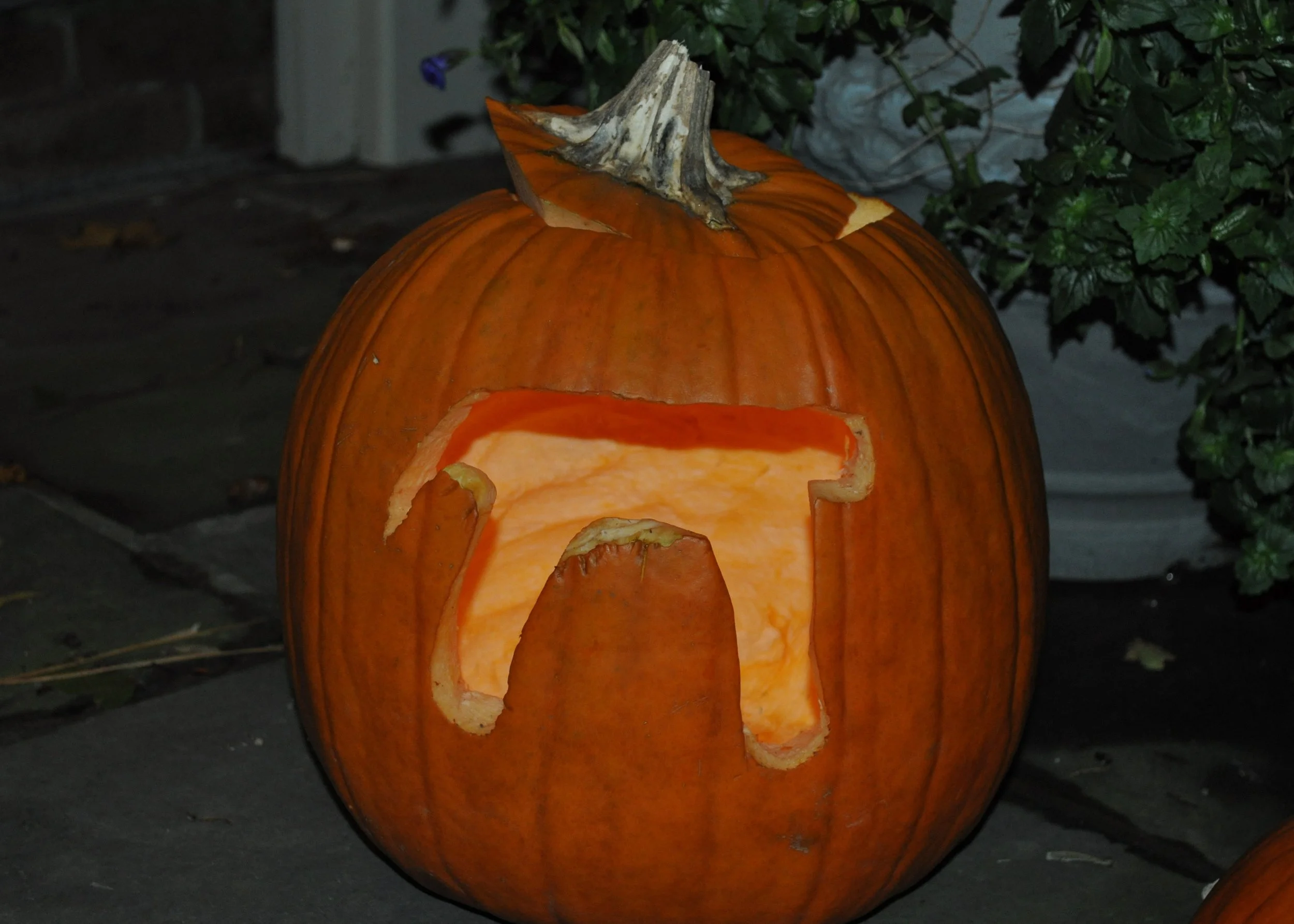 1012 Pumpkins Ava.jpg