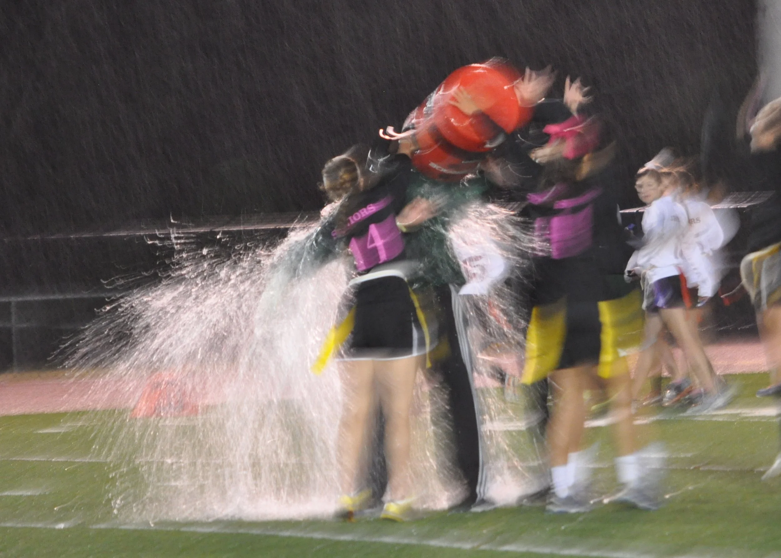 1013 Langley Powderpuff  4.jpg