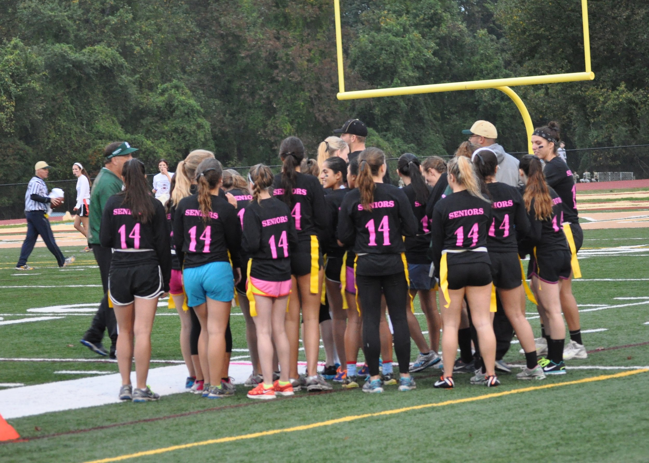 1013 Langley Powderpuff 2.jpg