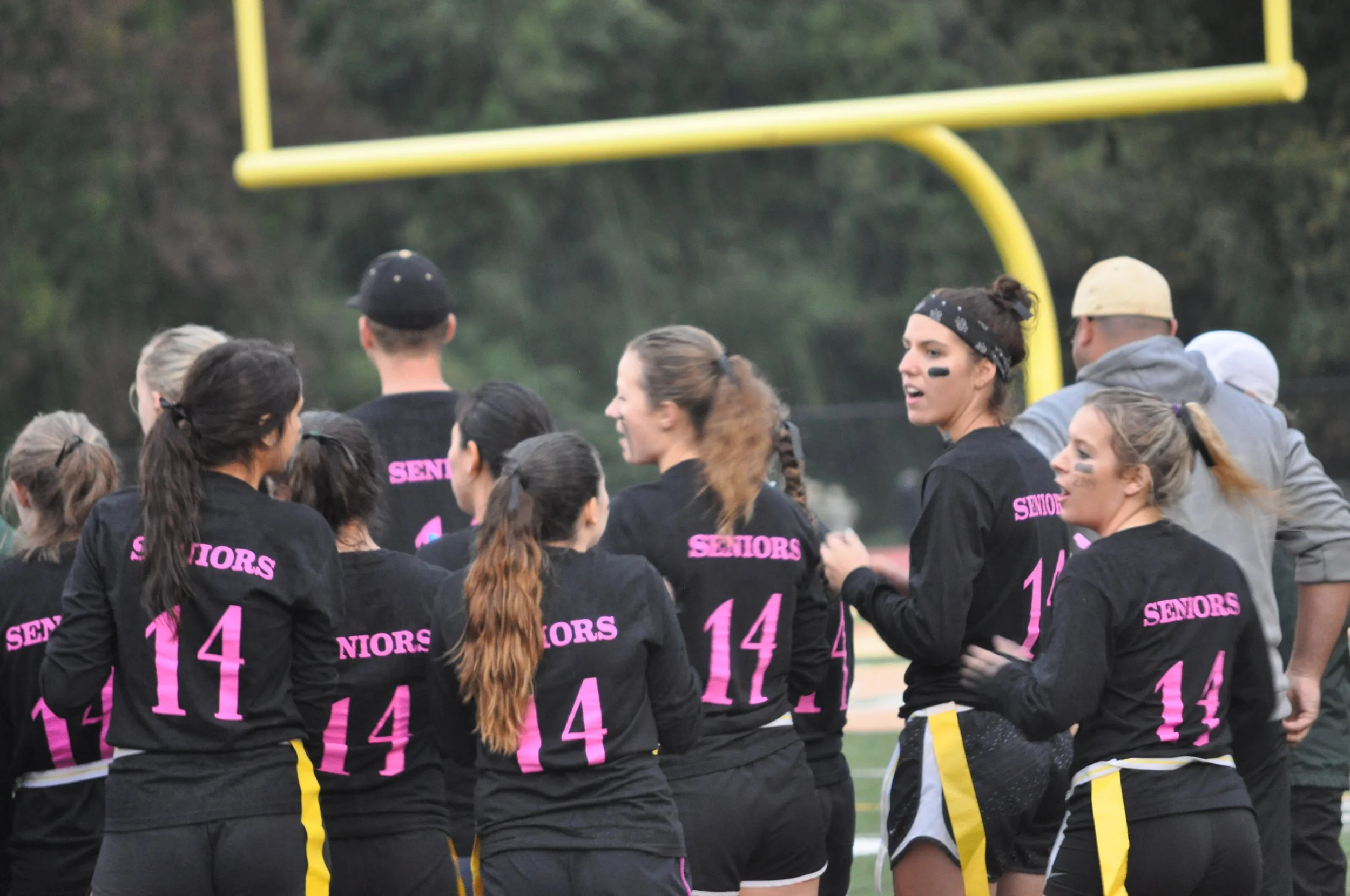 1013 Langley Powderpuff 3.jpg